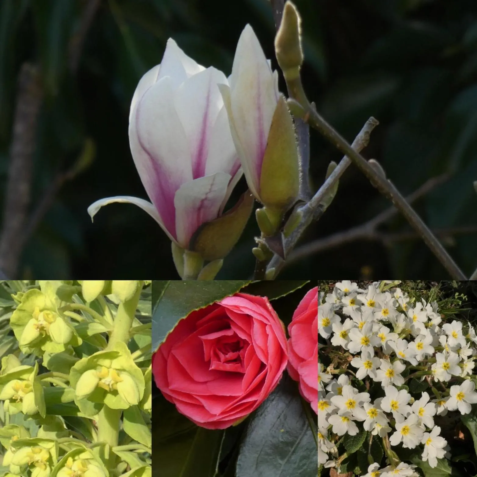 Garden in Wray Valley