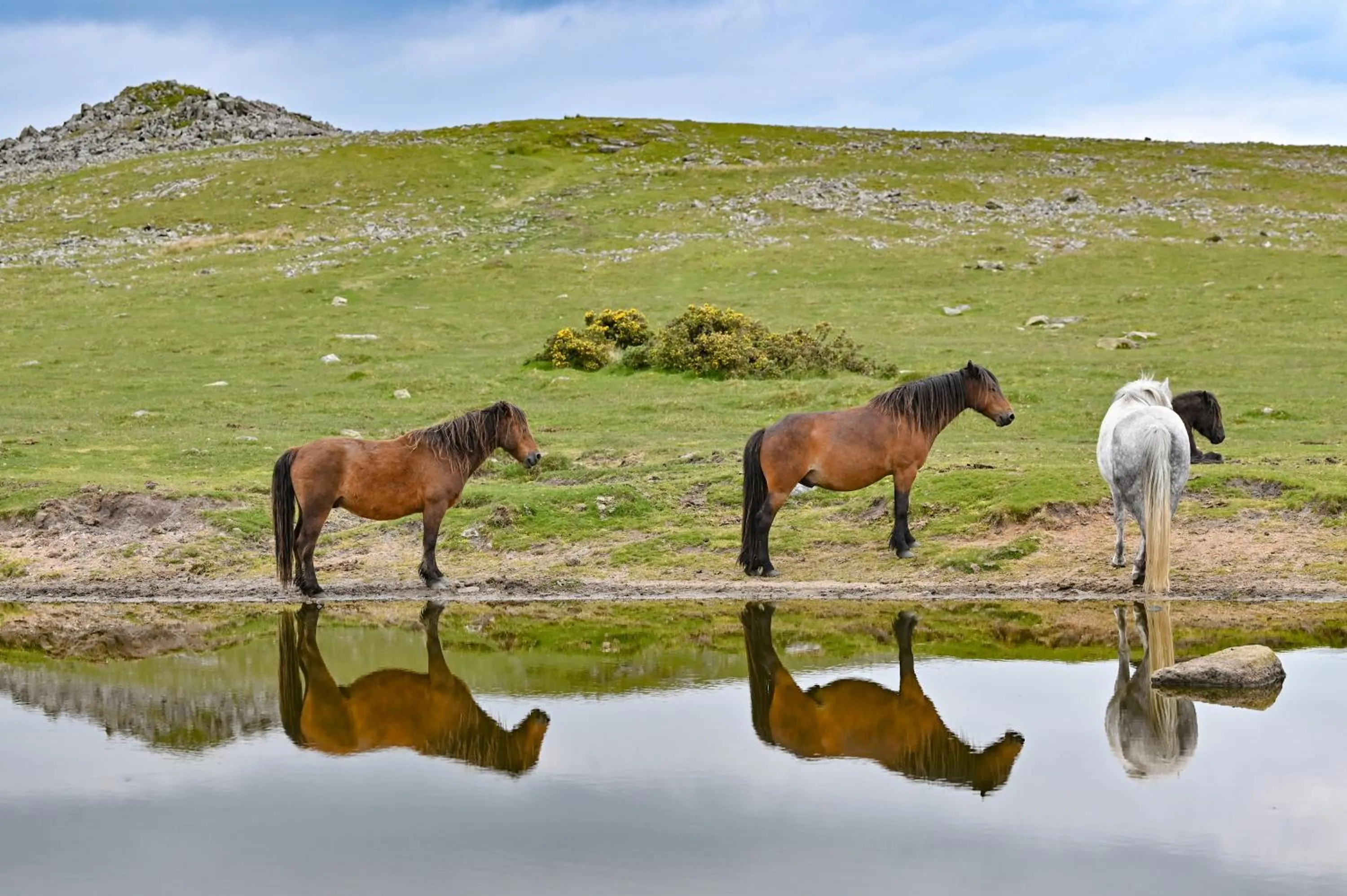 Off site in Wray Valley