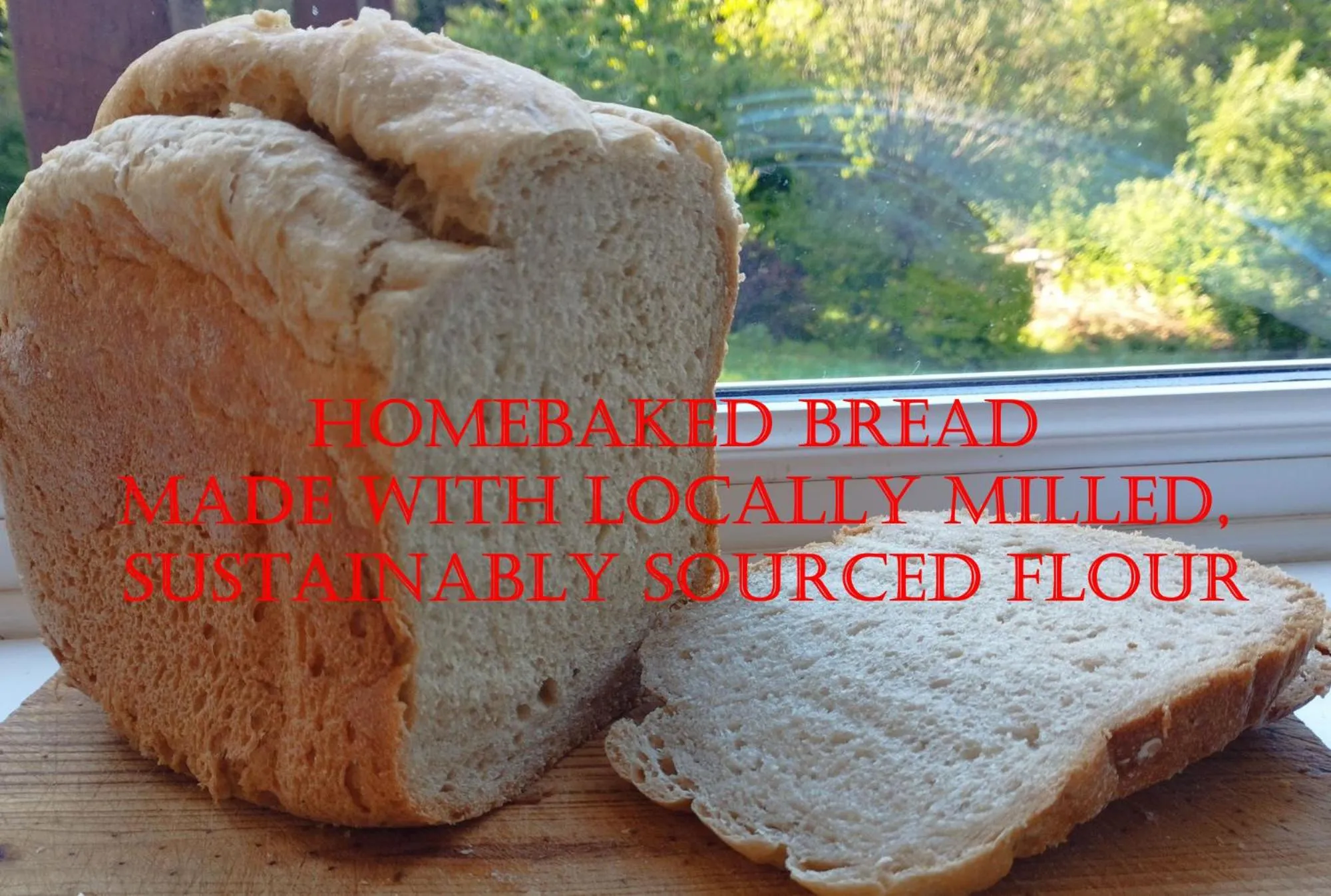 Food close-up in Wray Valley