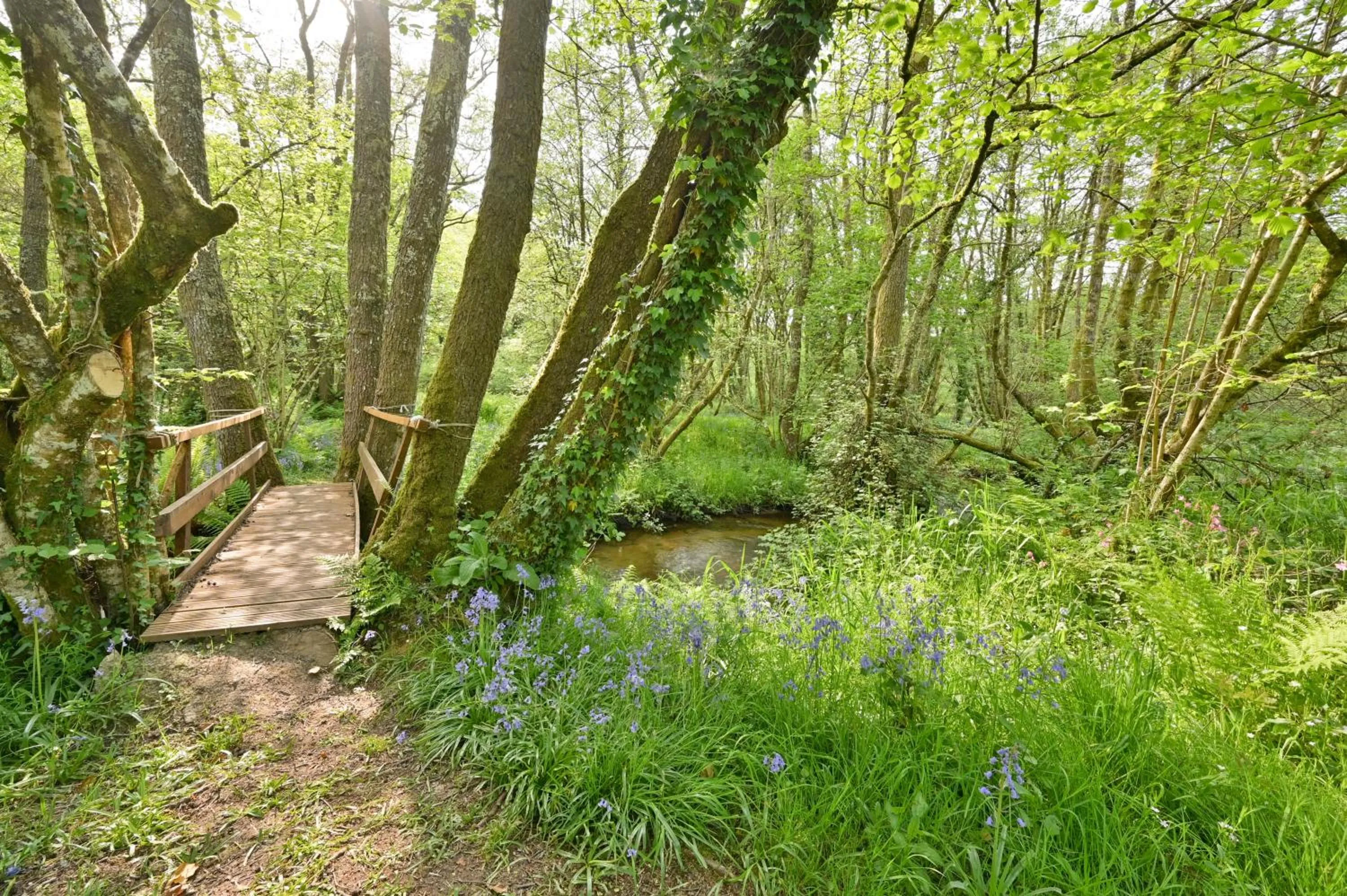 Natural landscape in Wray Valley