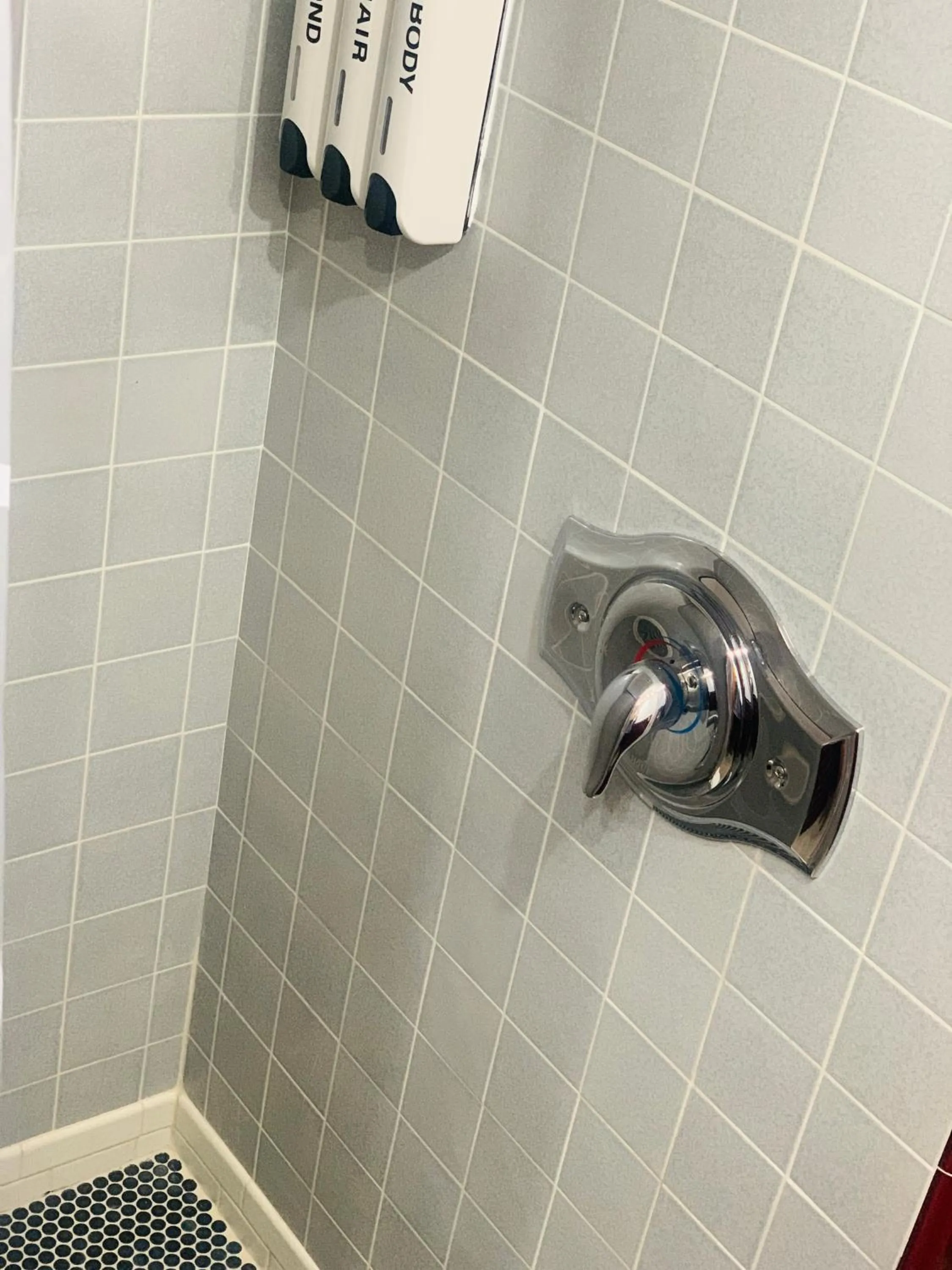 Shower in Dragonfly Motor Lodge