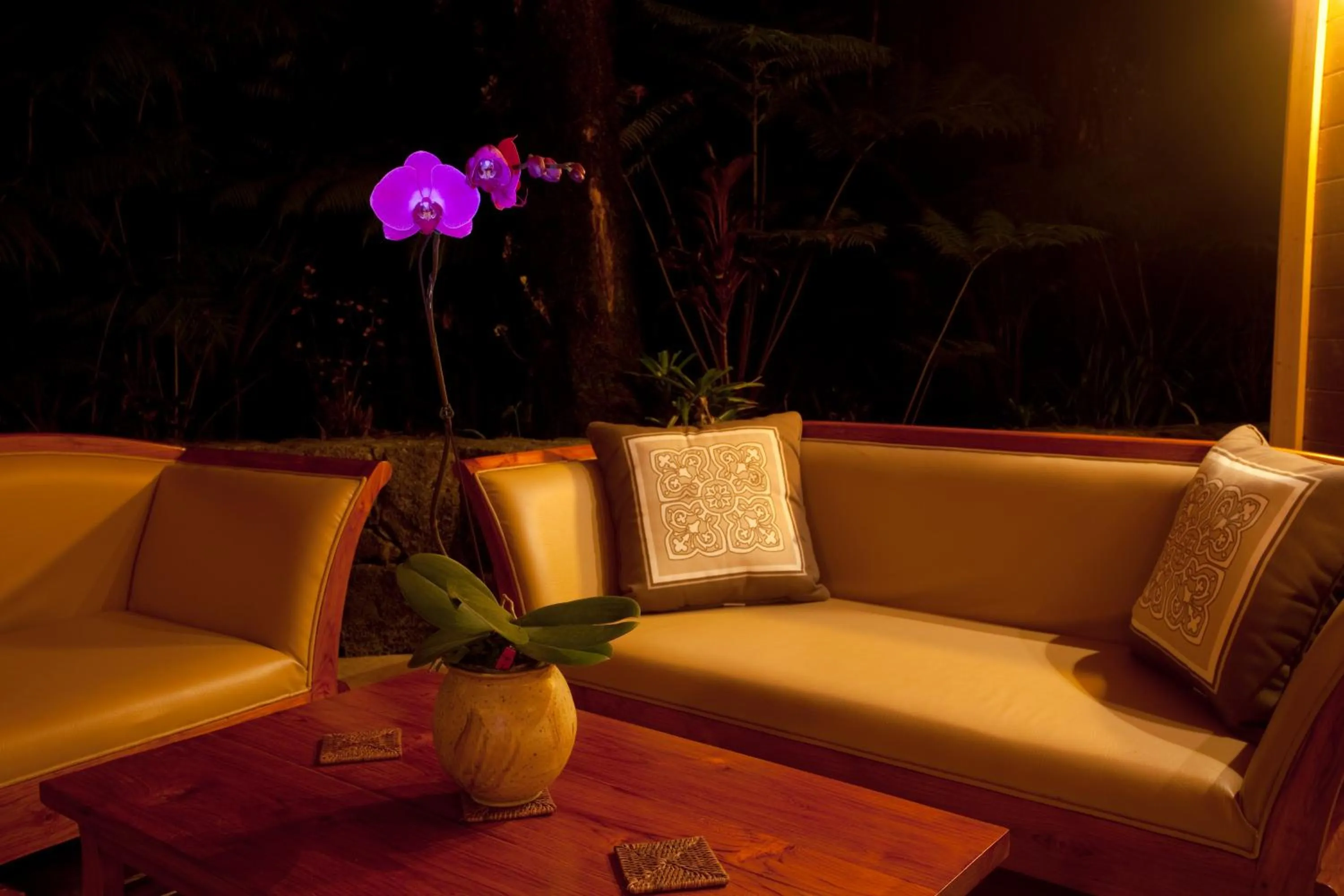 Patio in Volcano Mist Cottage