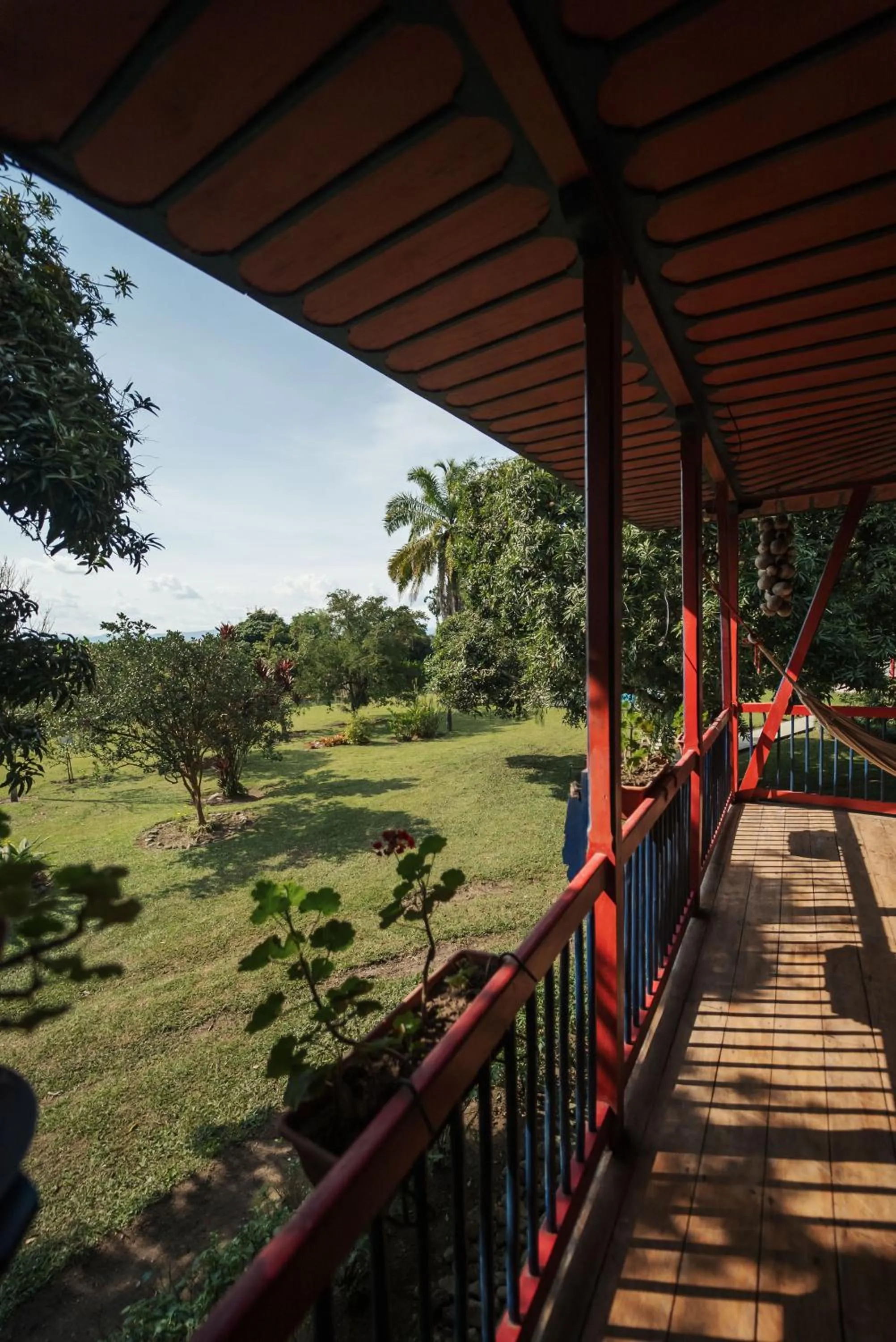 Garden view in Finca Hotel