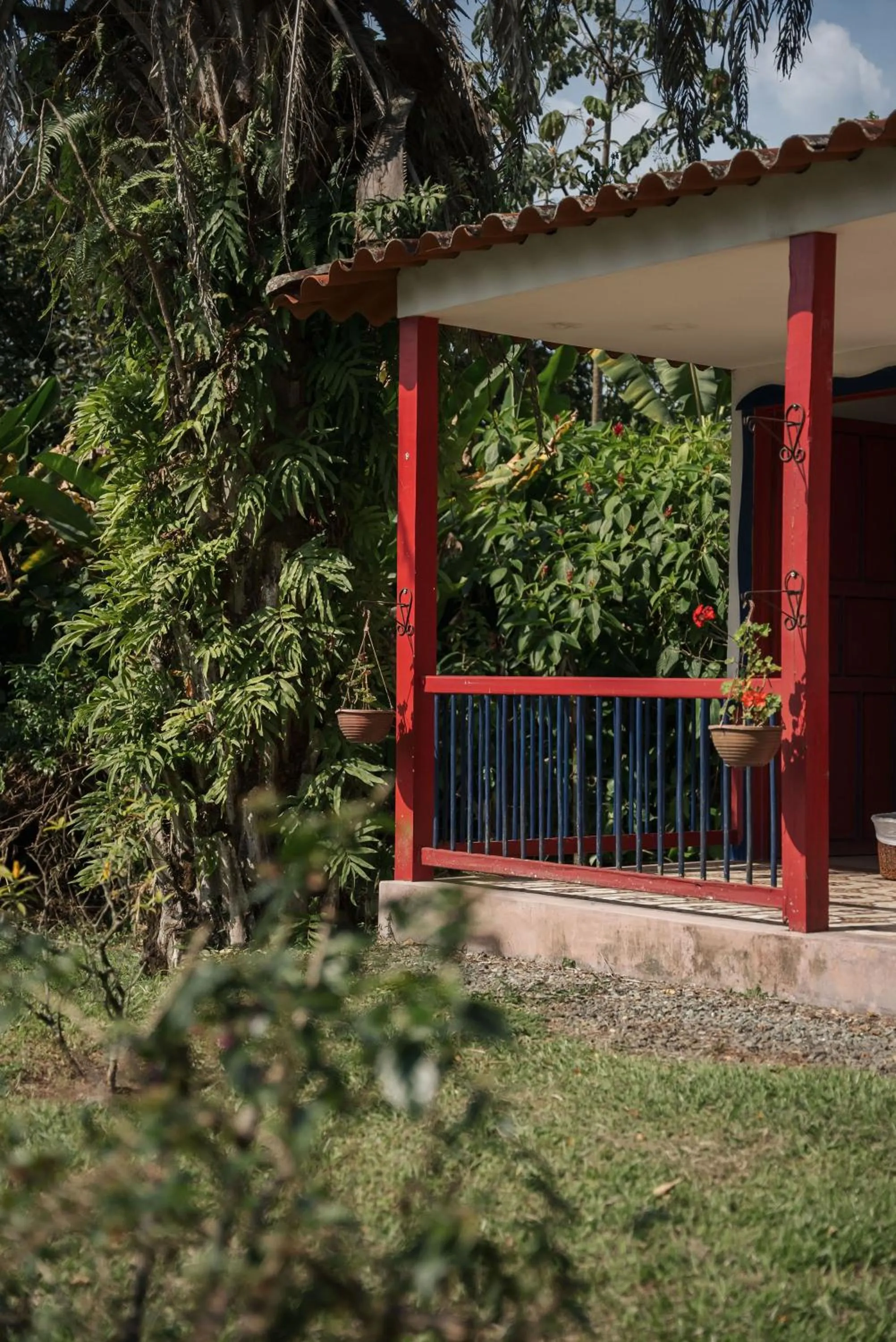 Garden in Finca Hotel