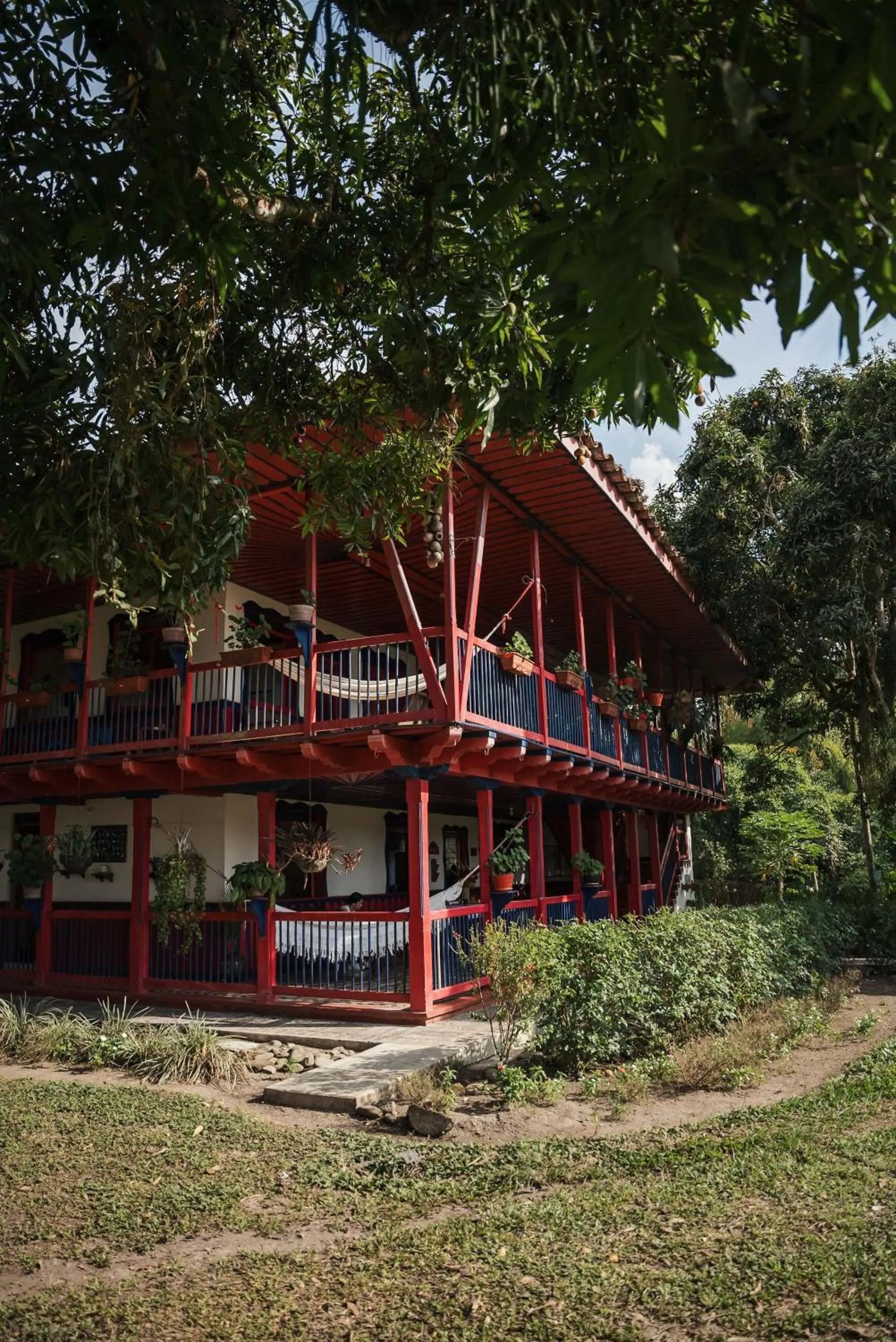 View (from property/room) in Finca Hotel
