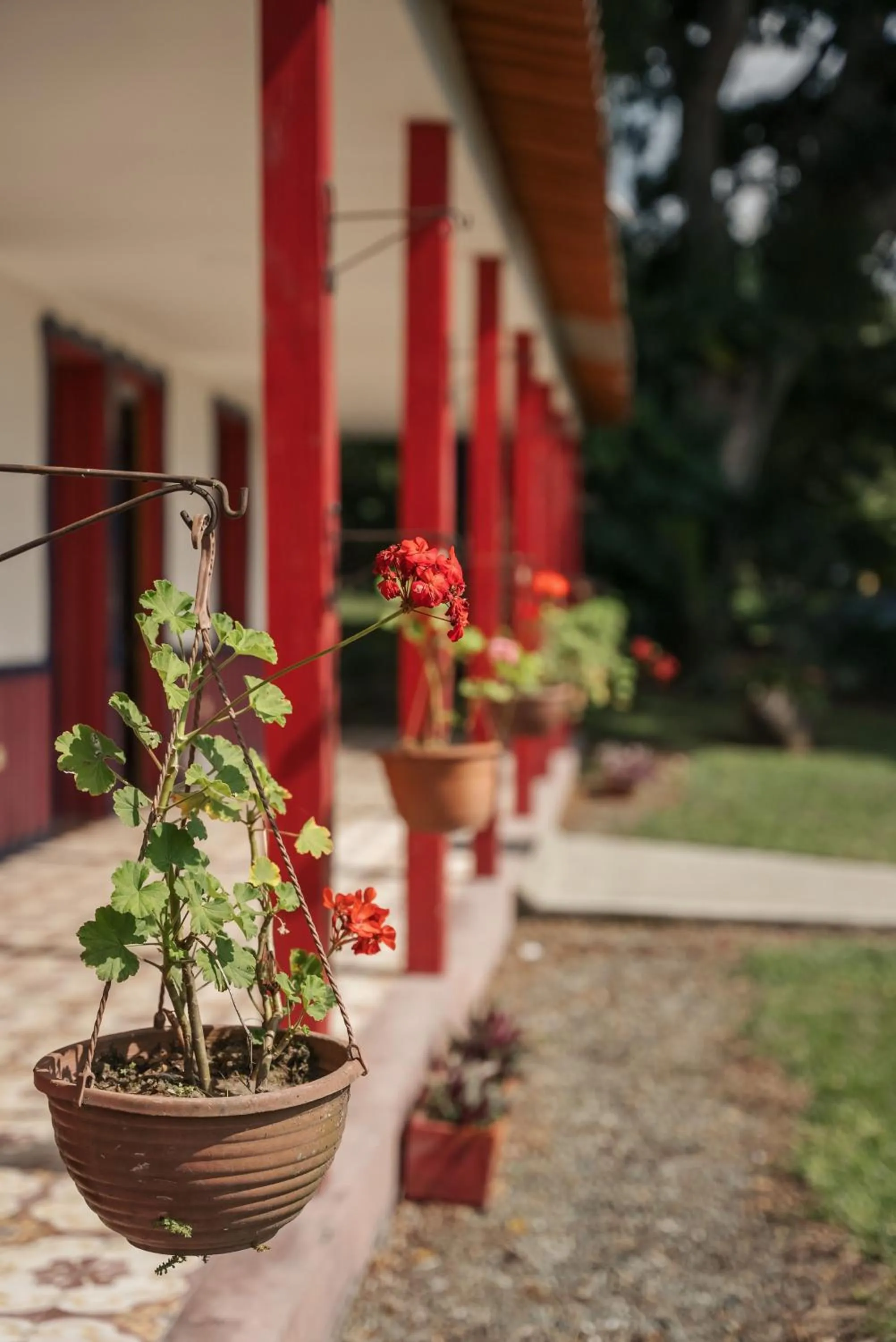 Garden in Finca Hotel