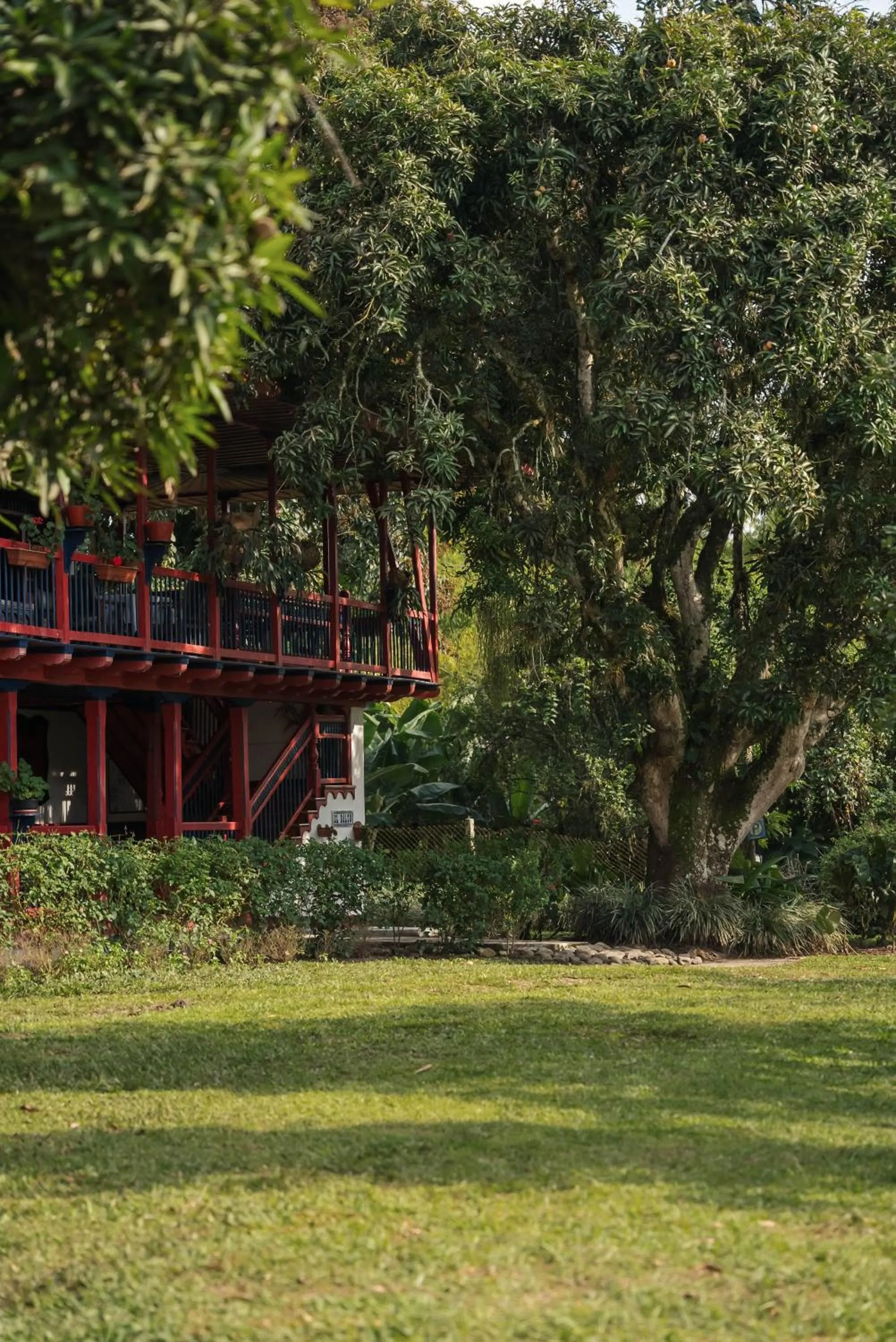 Garden in Finca Hotel