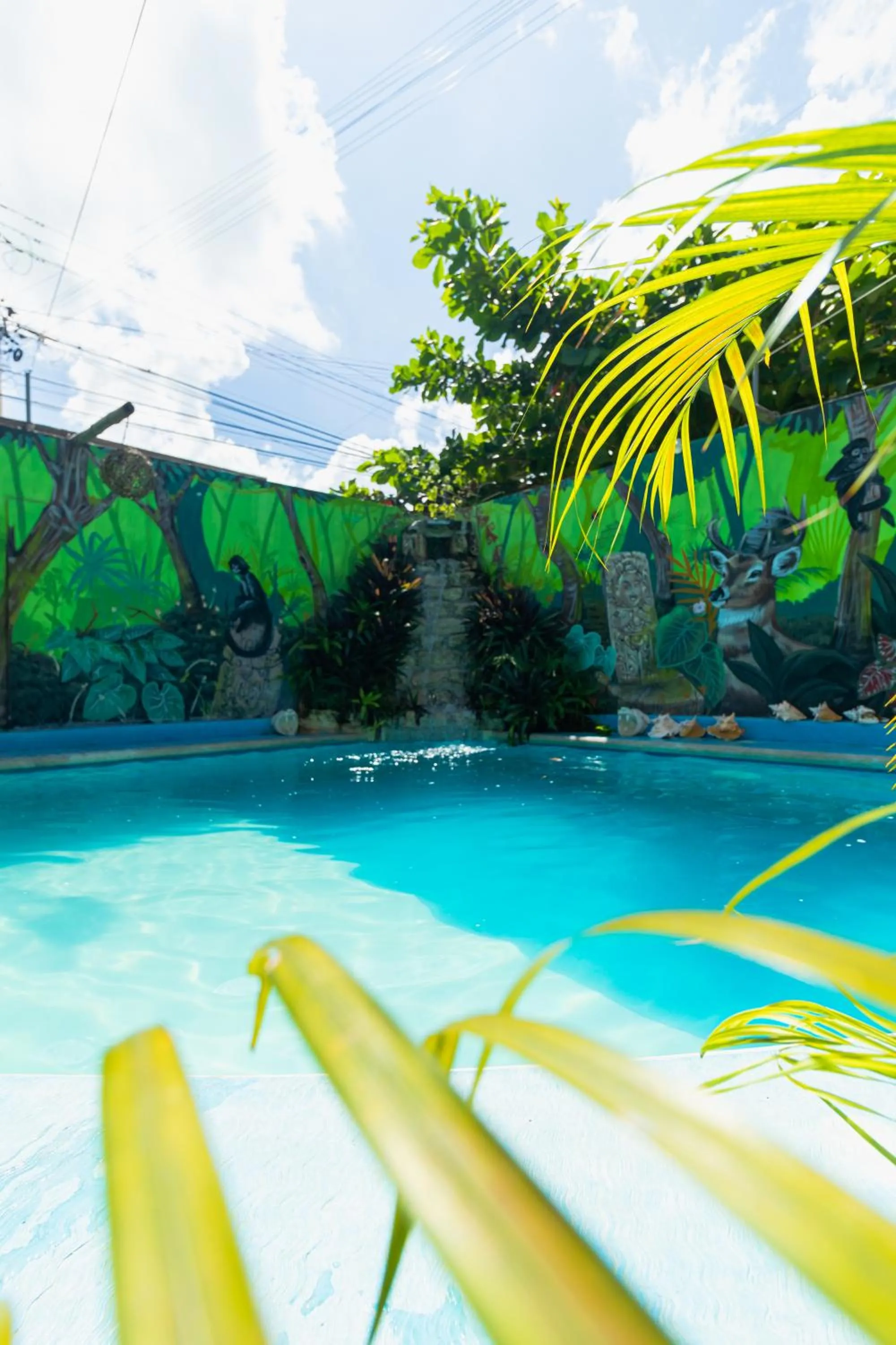 Garden in Zayali Bacalar - Guest House