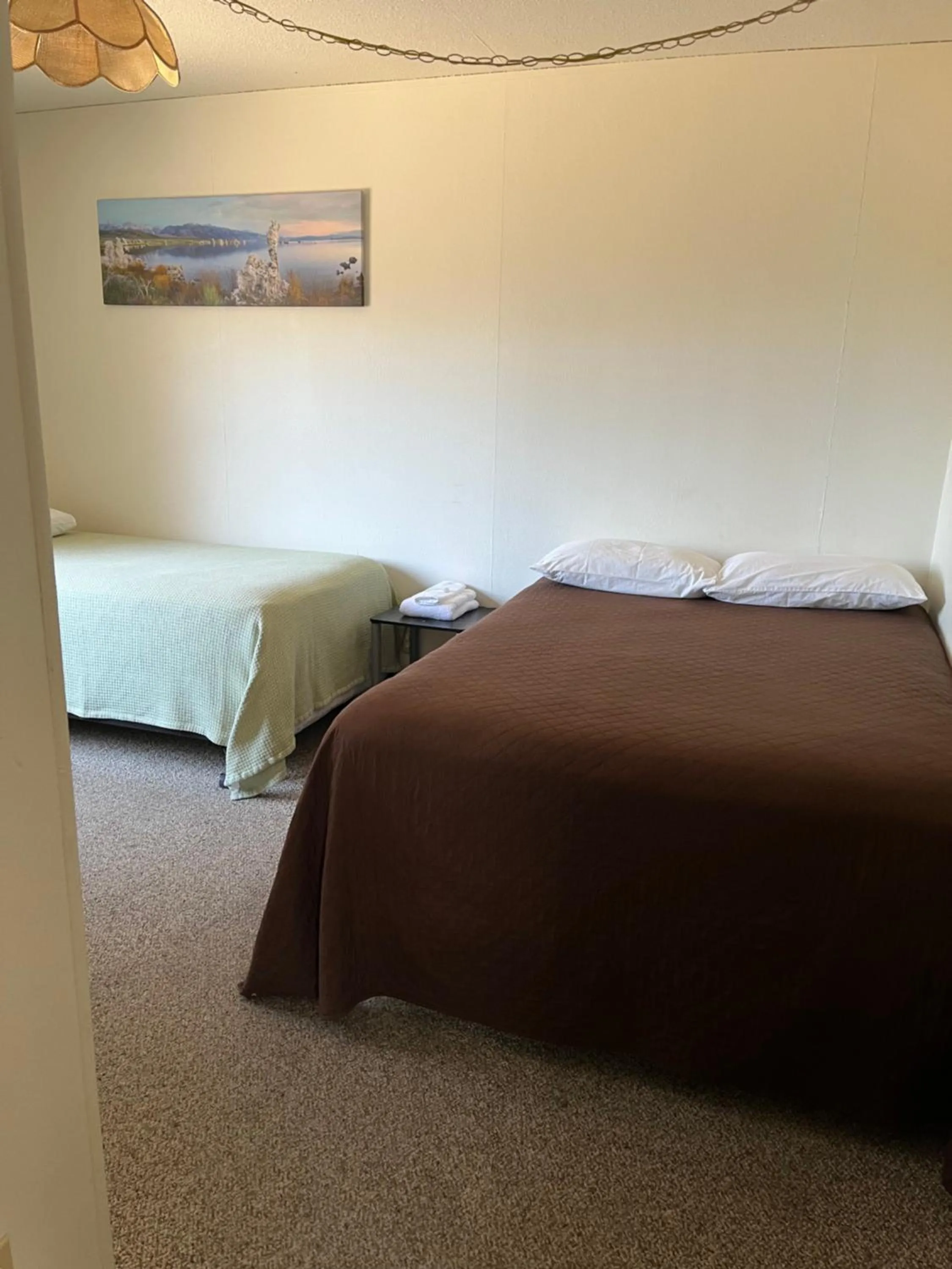 Bed in Bristlecone Motel