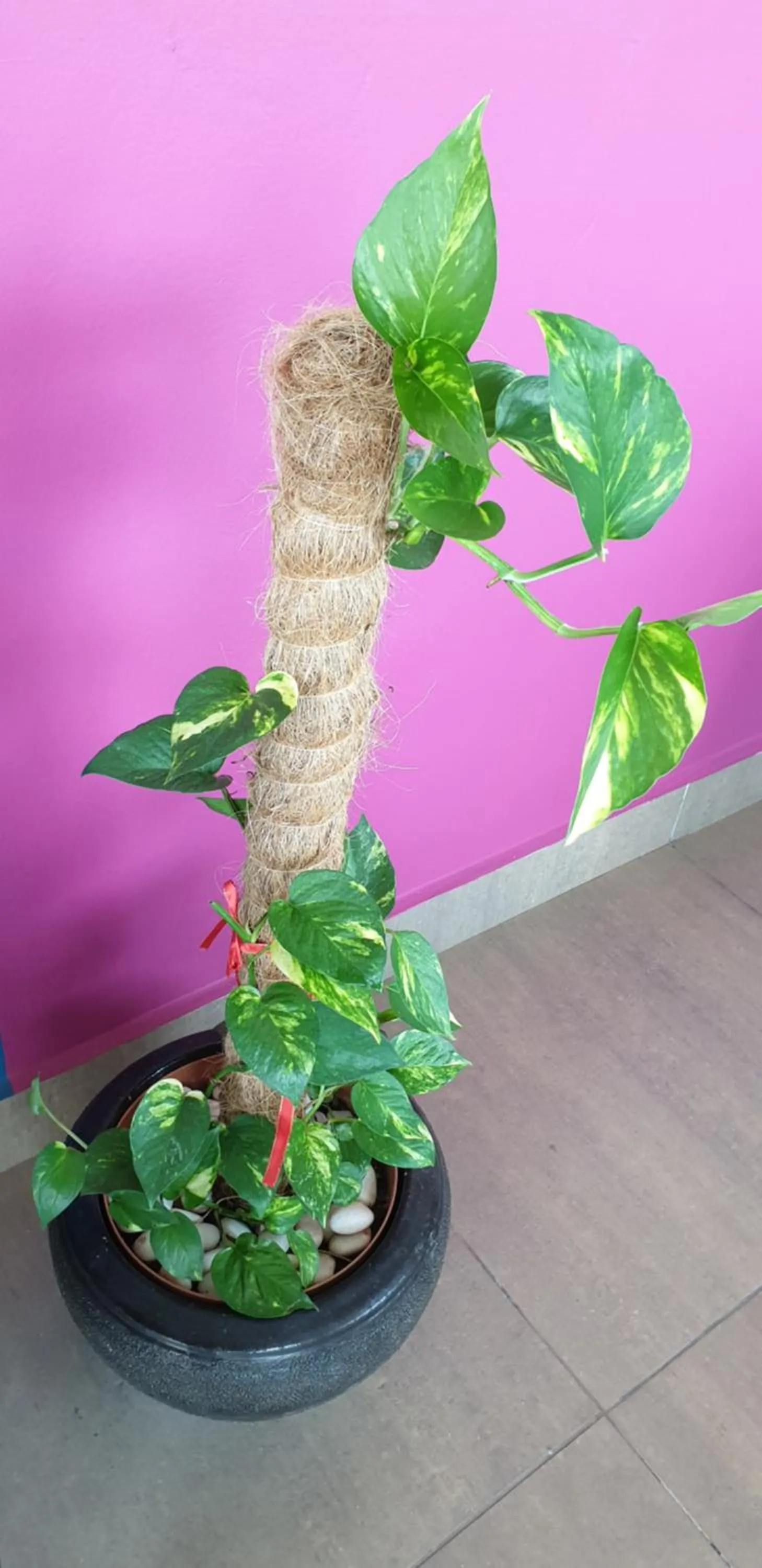 Decorative detail in 56 HOTEL