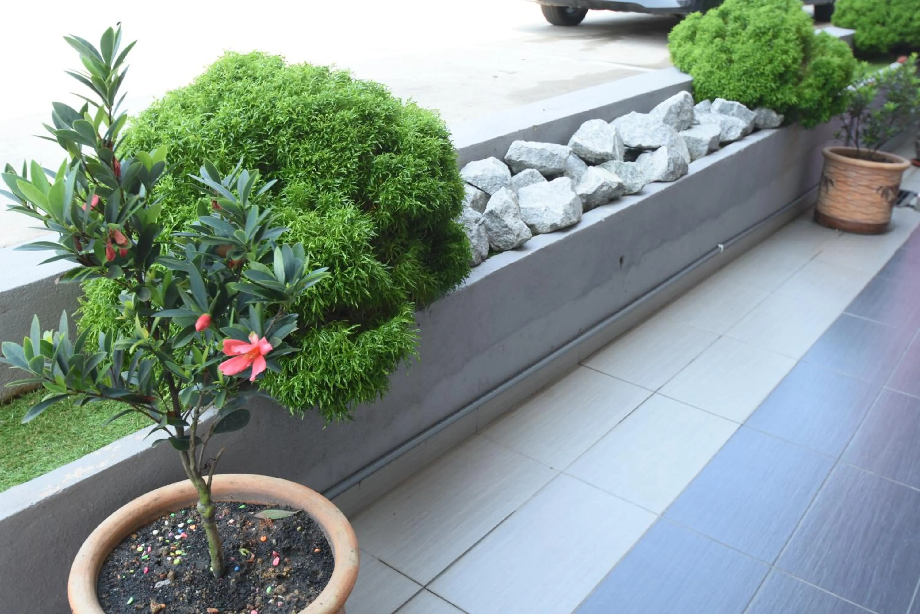 Balcony/Terrace in 56 HOTEL