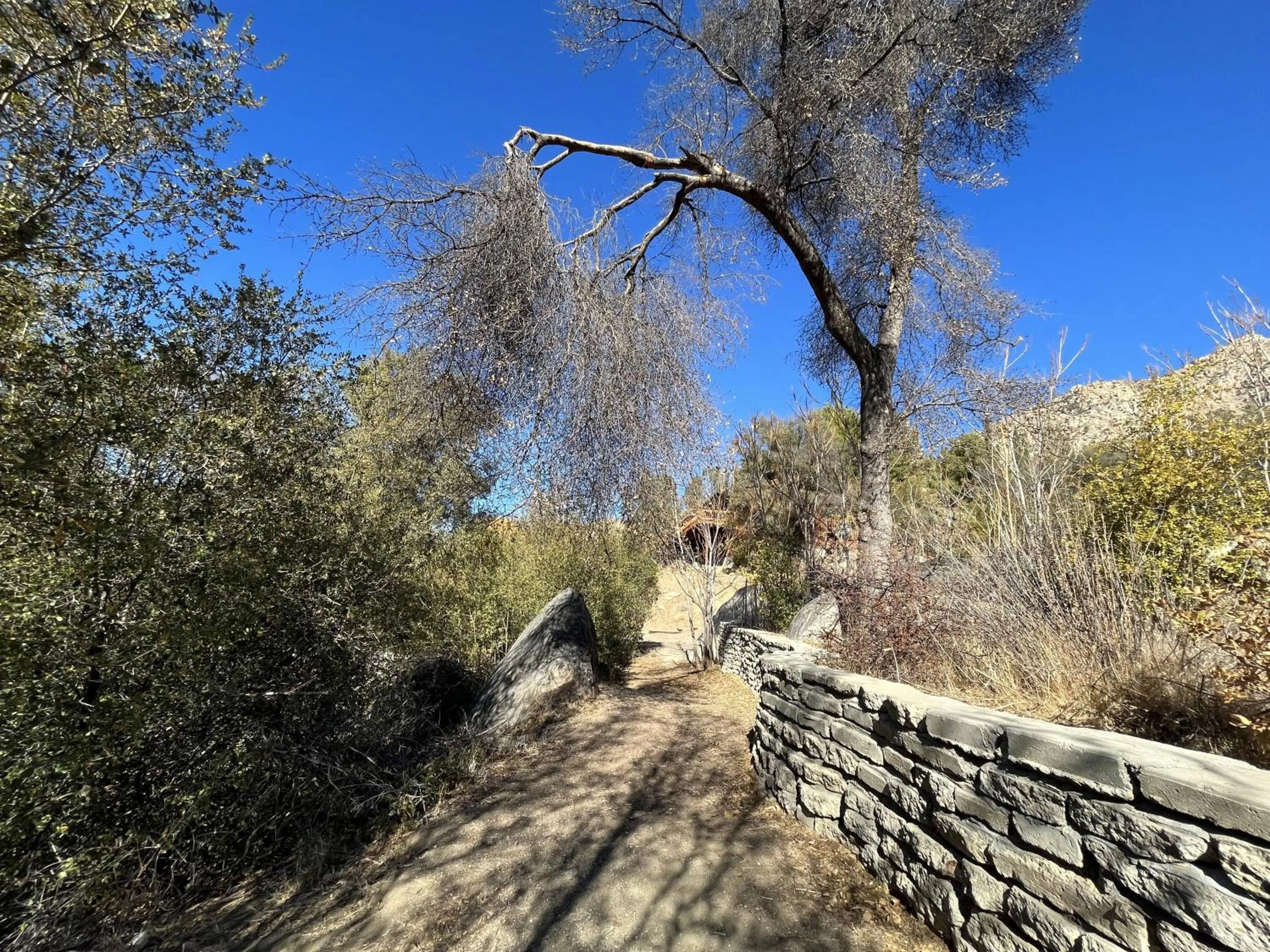 Natural landscape in Whispering Pines Lodge