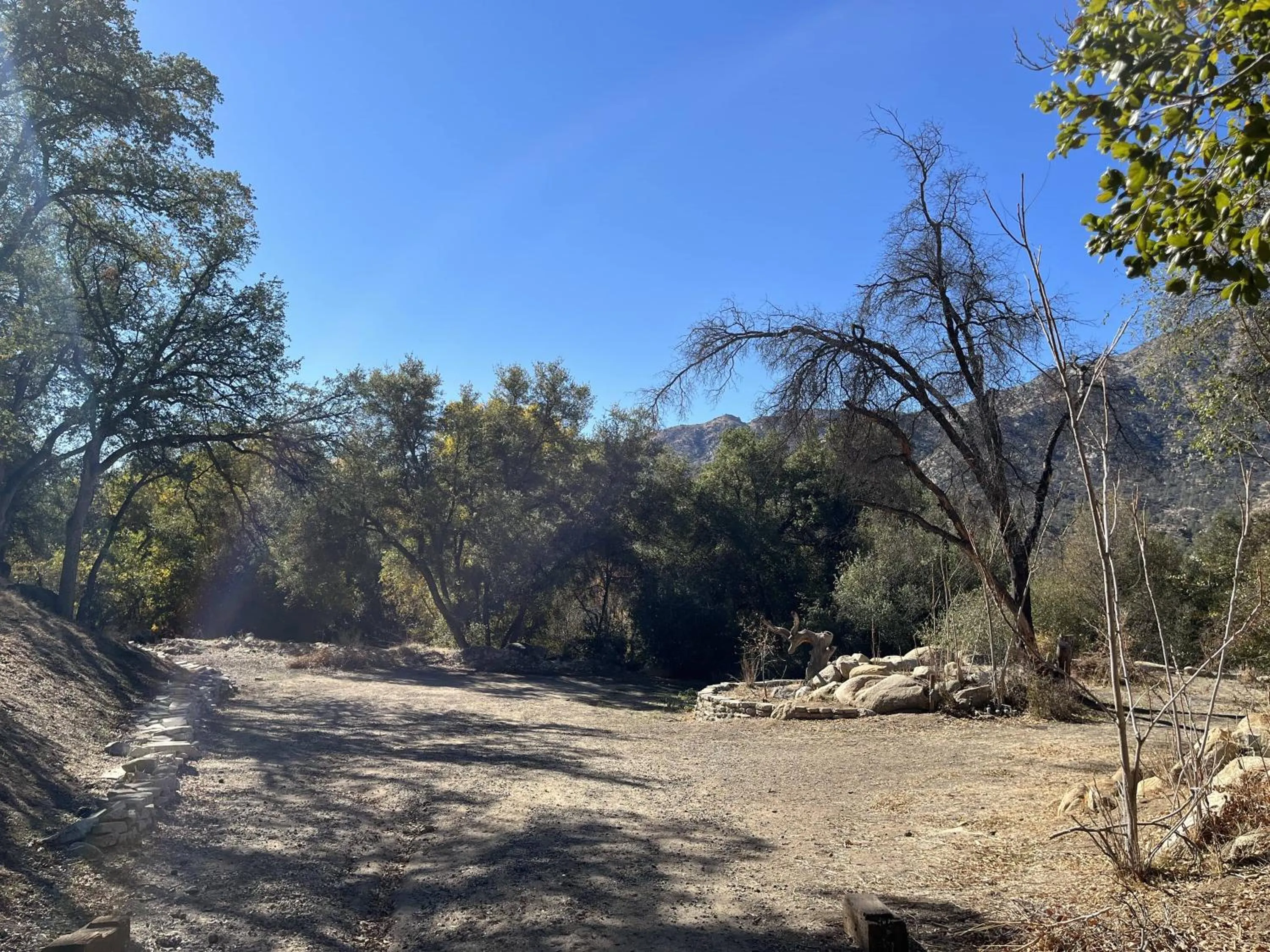 Natural landscape in Whispering Pines Lodge
