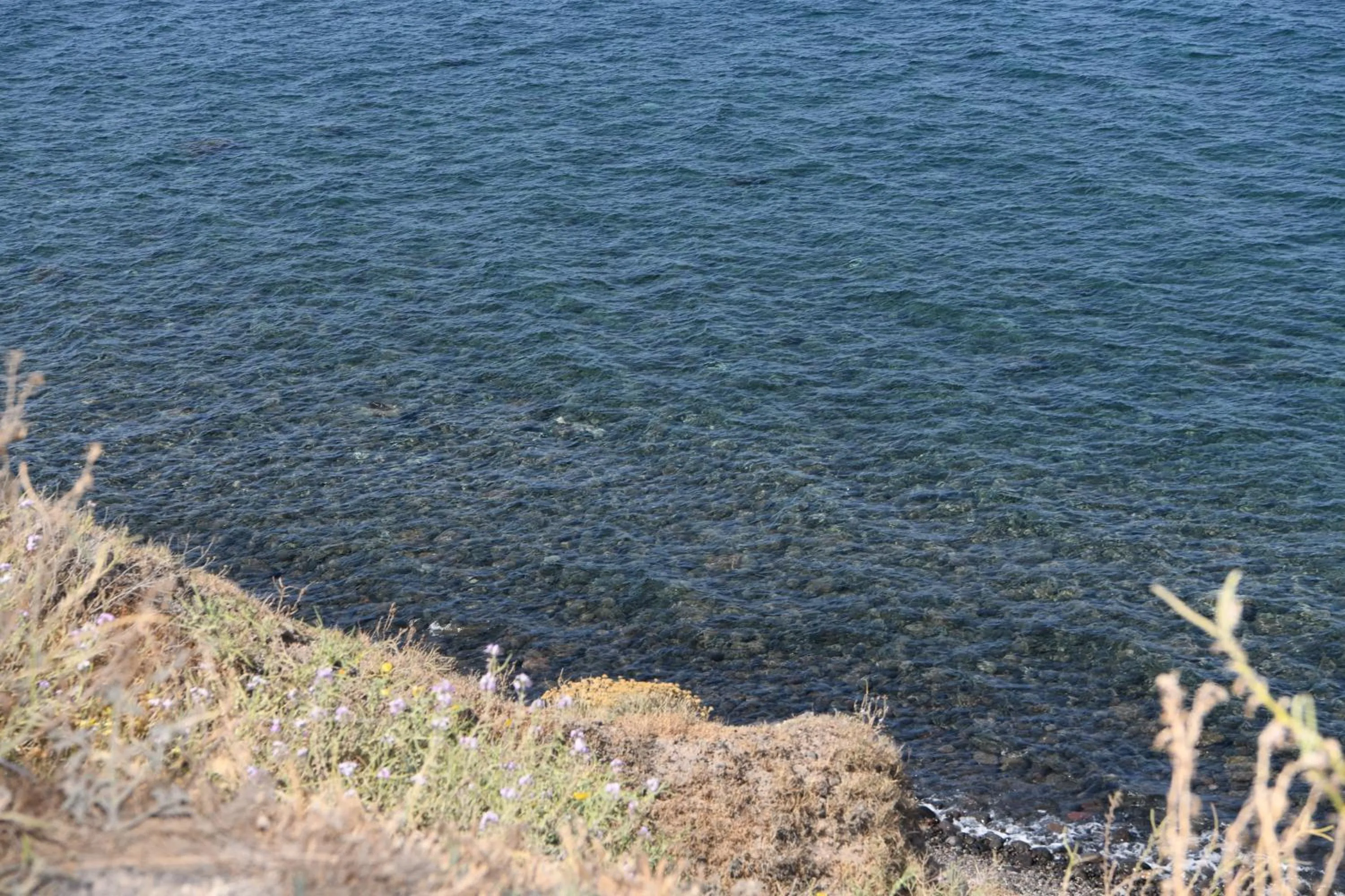 Property building in Starlight Luxury Seaside Villa & Suites