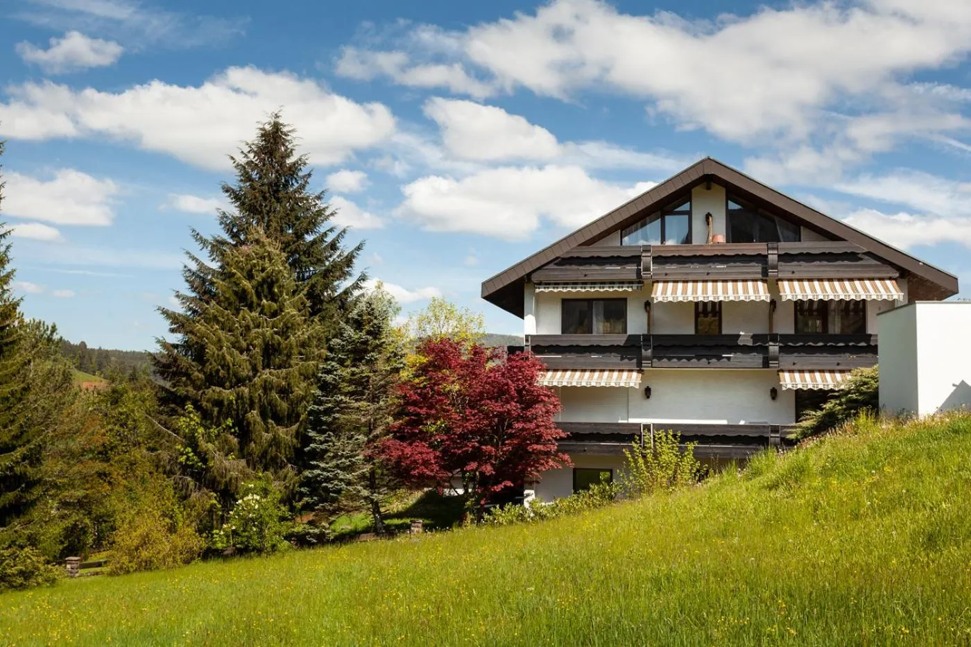 Property building in Hotel Petra