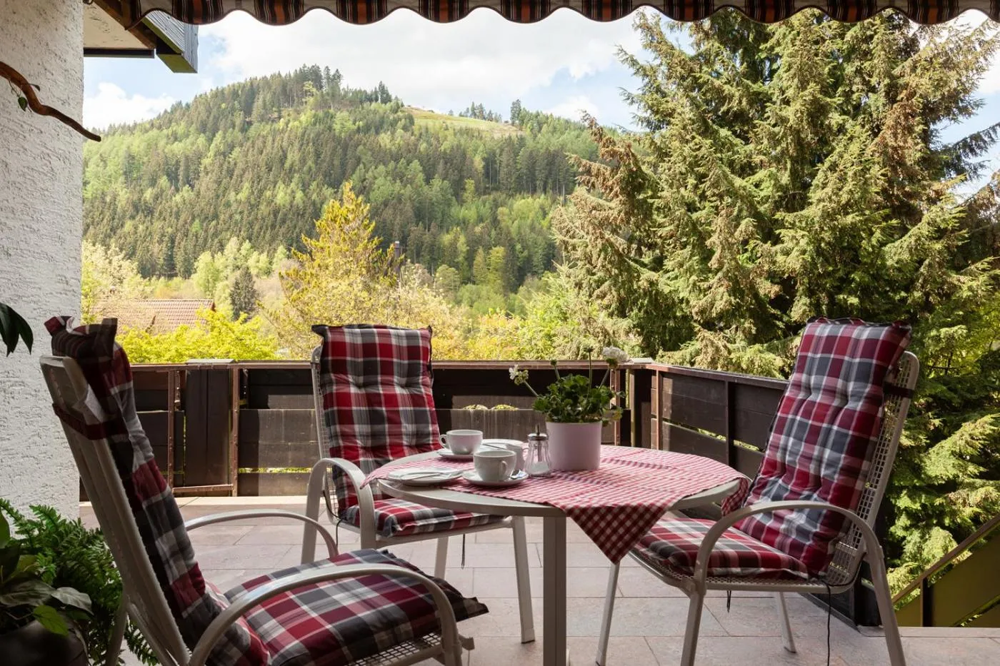 Patio in Hotel Petra