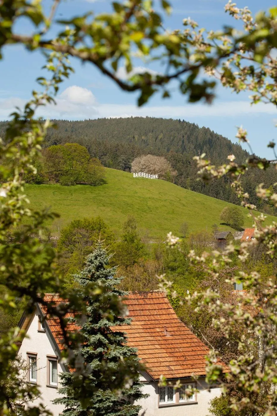 Neighbourhood in Hotel Petra