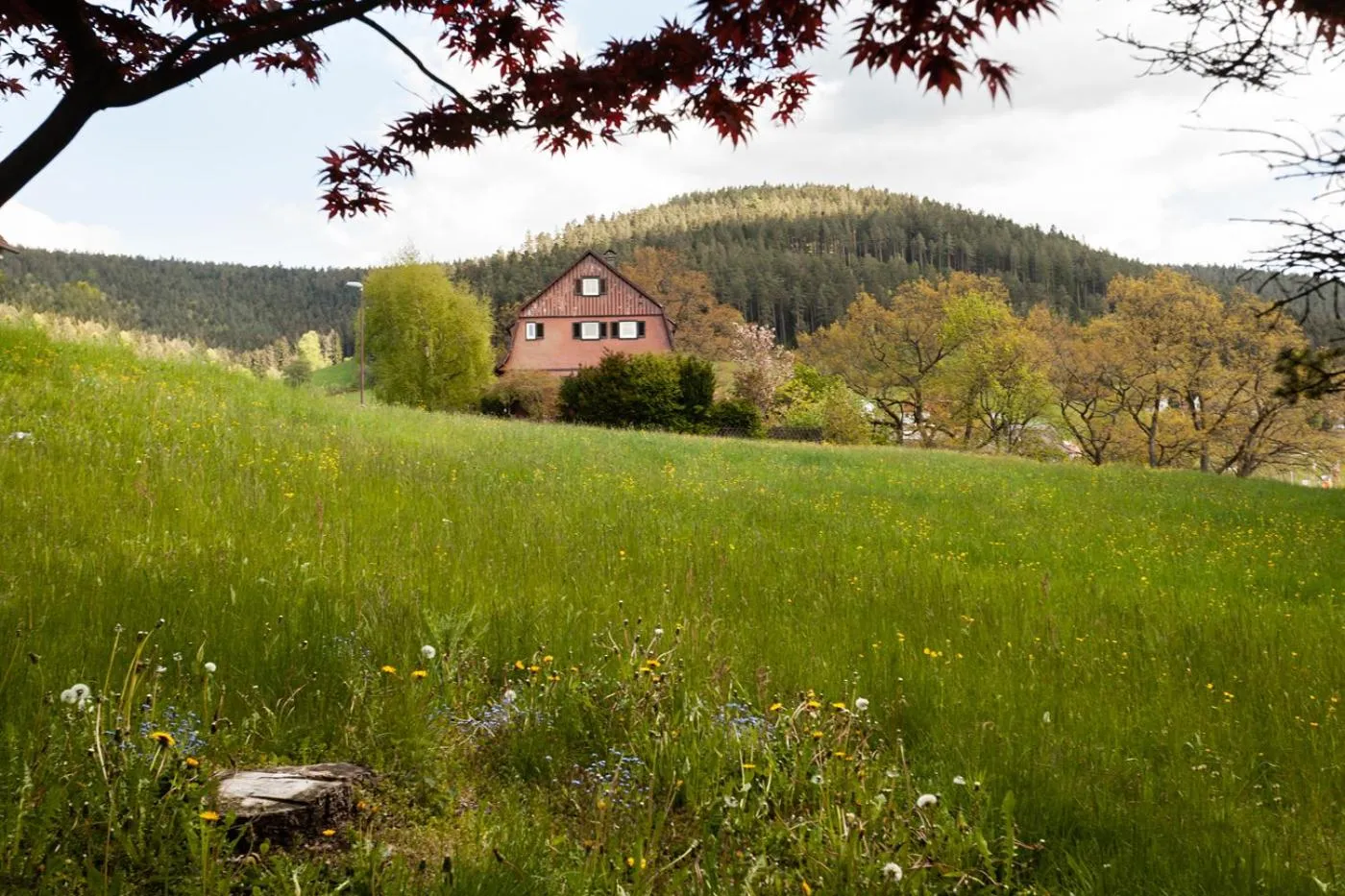 Property building in Hotel Petra