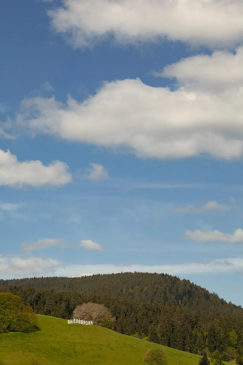 Natural landscape in Hotel Petra