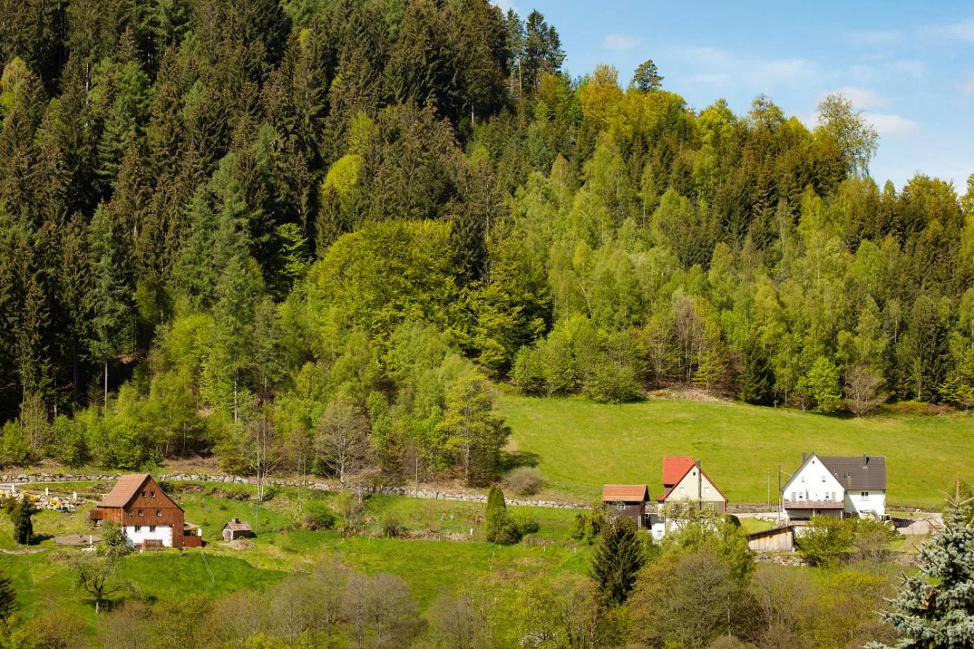 Neighbourhood in Hotel Petra
