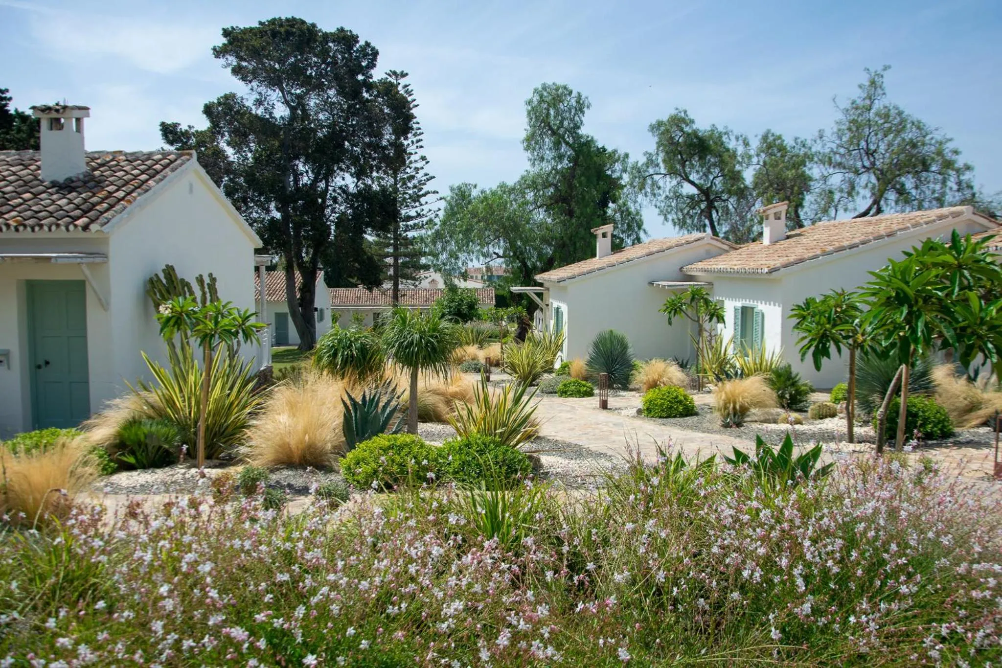 Property building in Boho Club