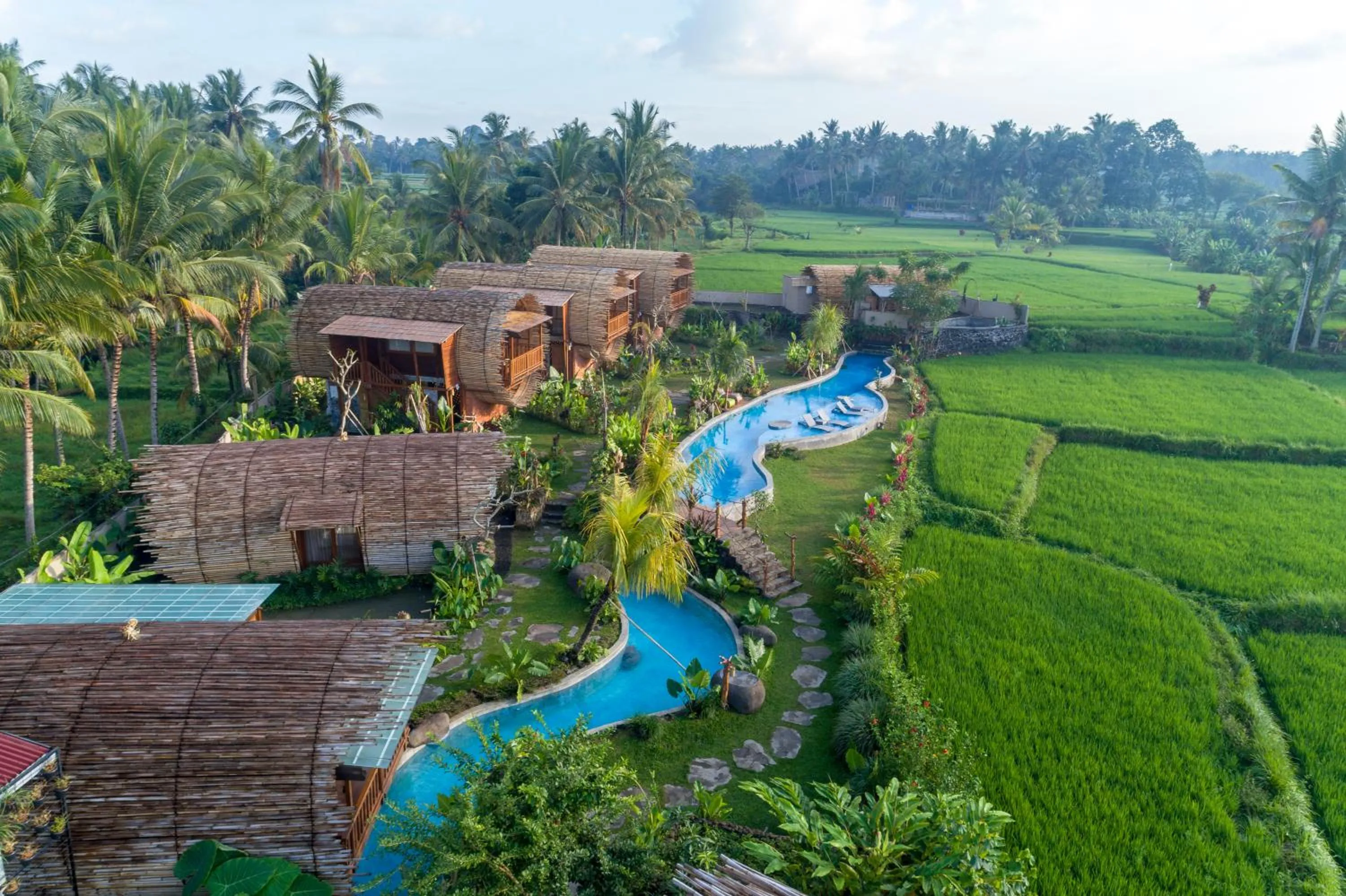 Swimming pool in Beehouse Dijiwa Ubud