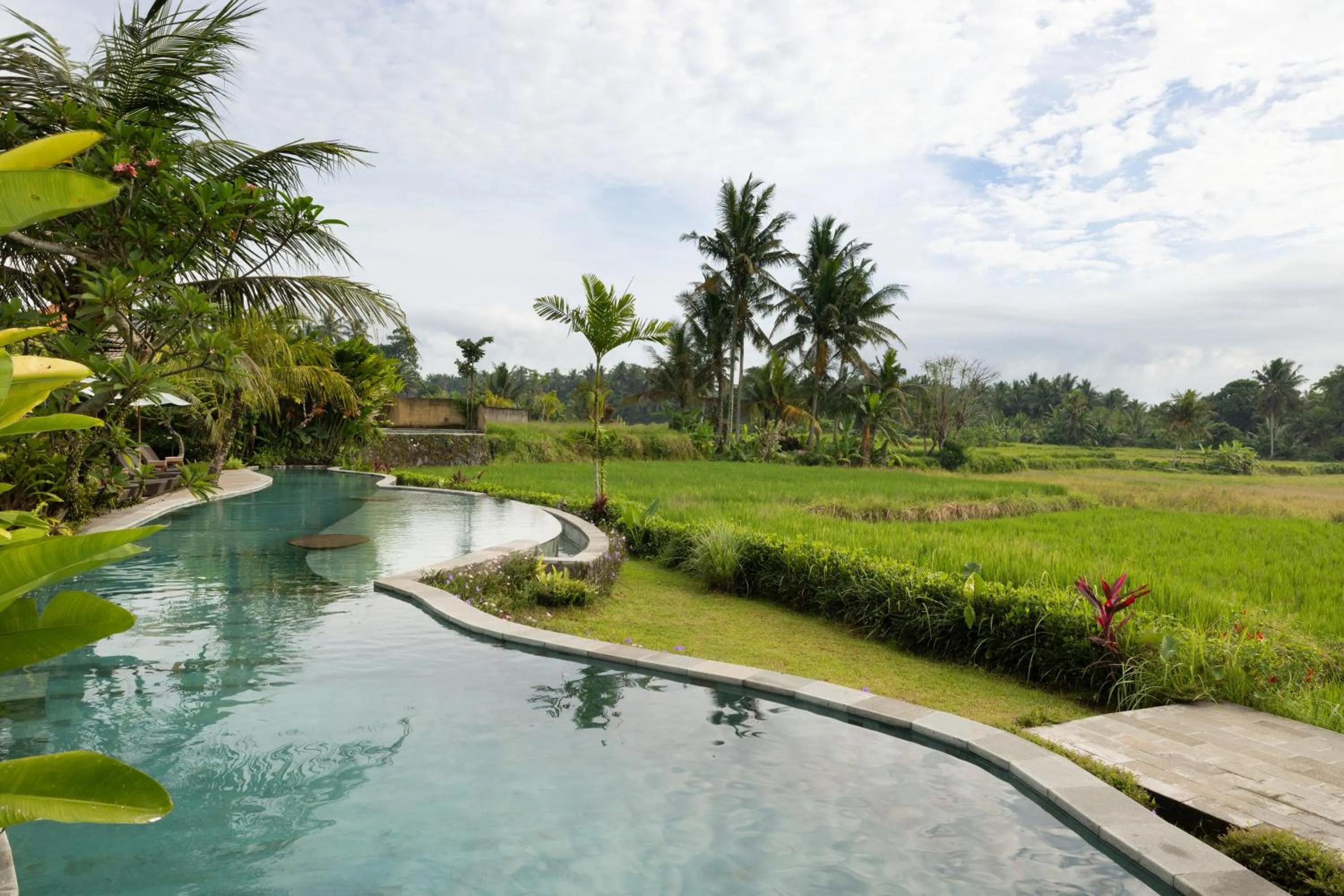 Property building in Beehouse Dijiwa Ubud