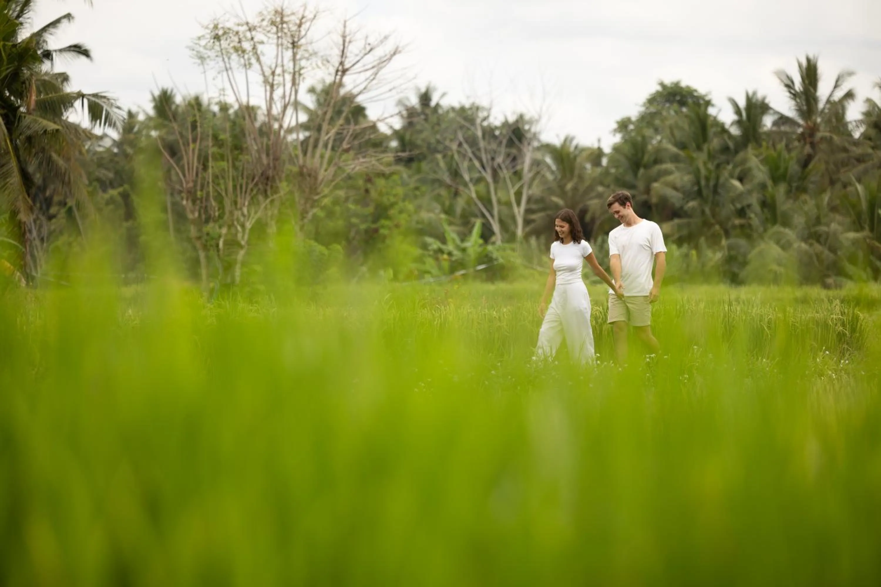 Garden view in Beehouse Dijiwa Ubud