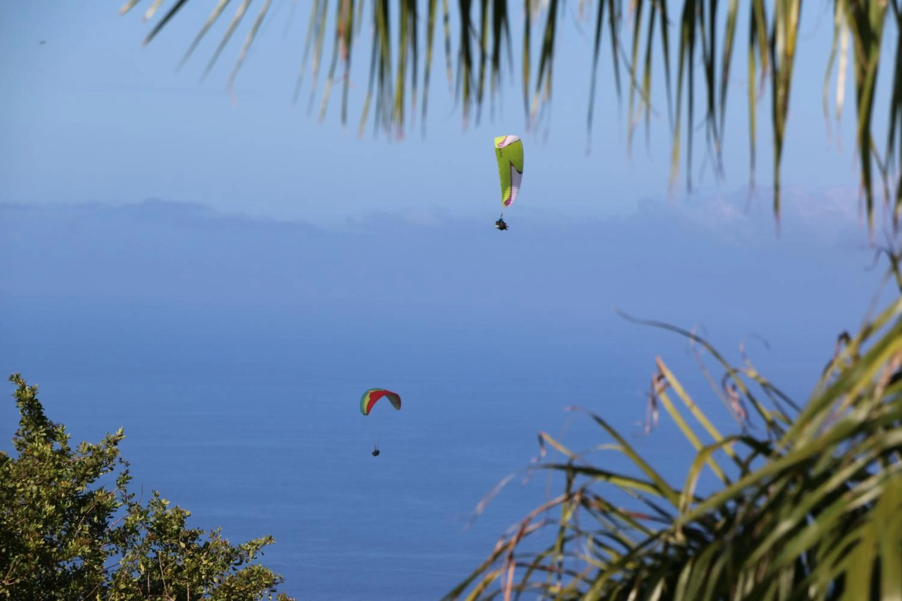 Bird's eye view in KAZ ORÈA