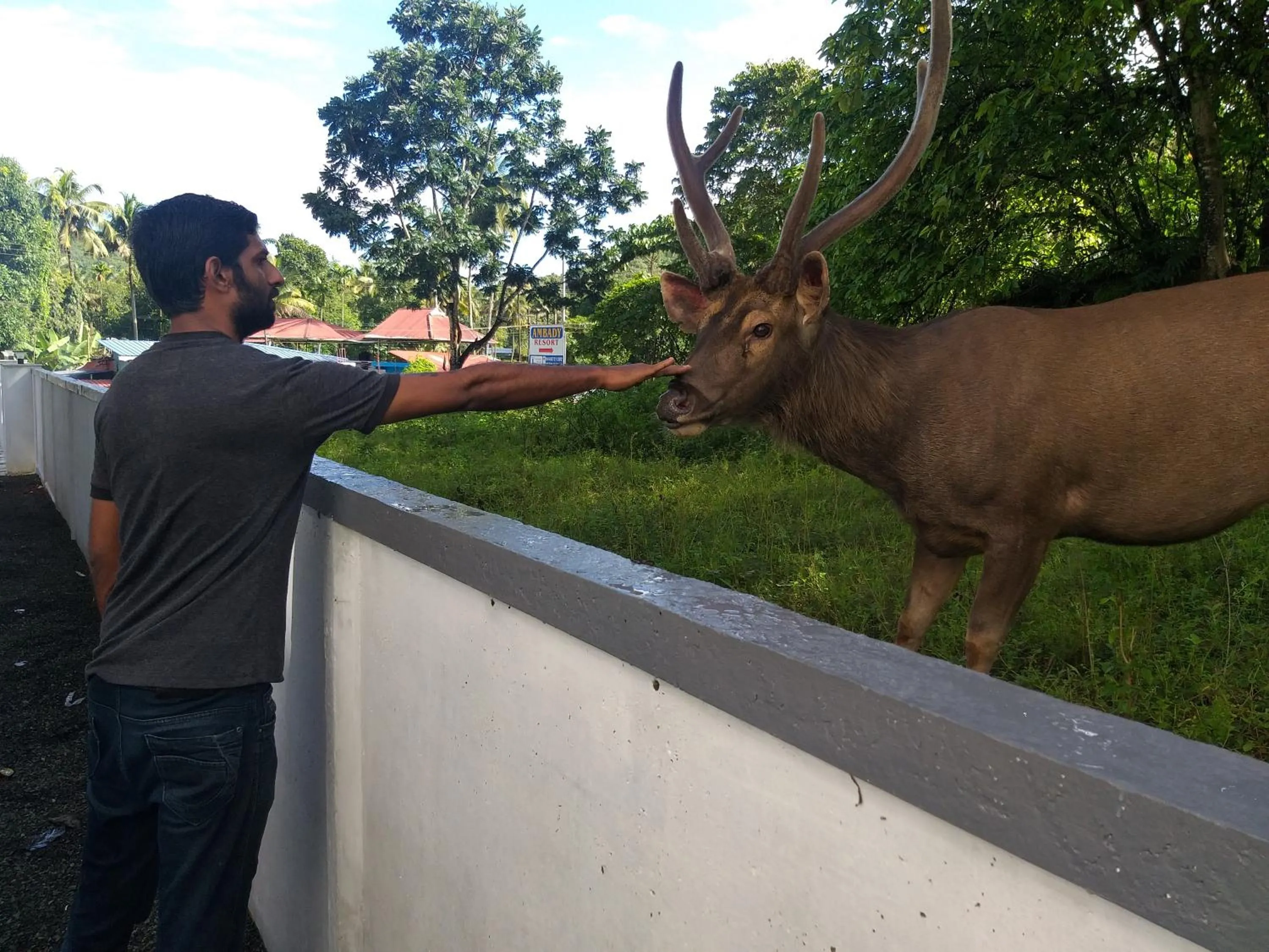 Natural landscape in Athirappilly Rainland Resort