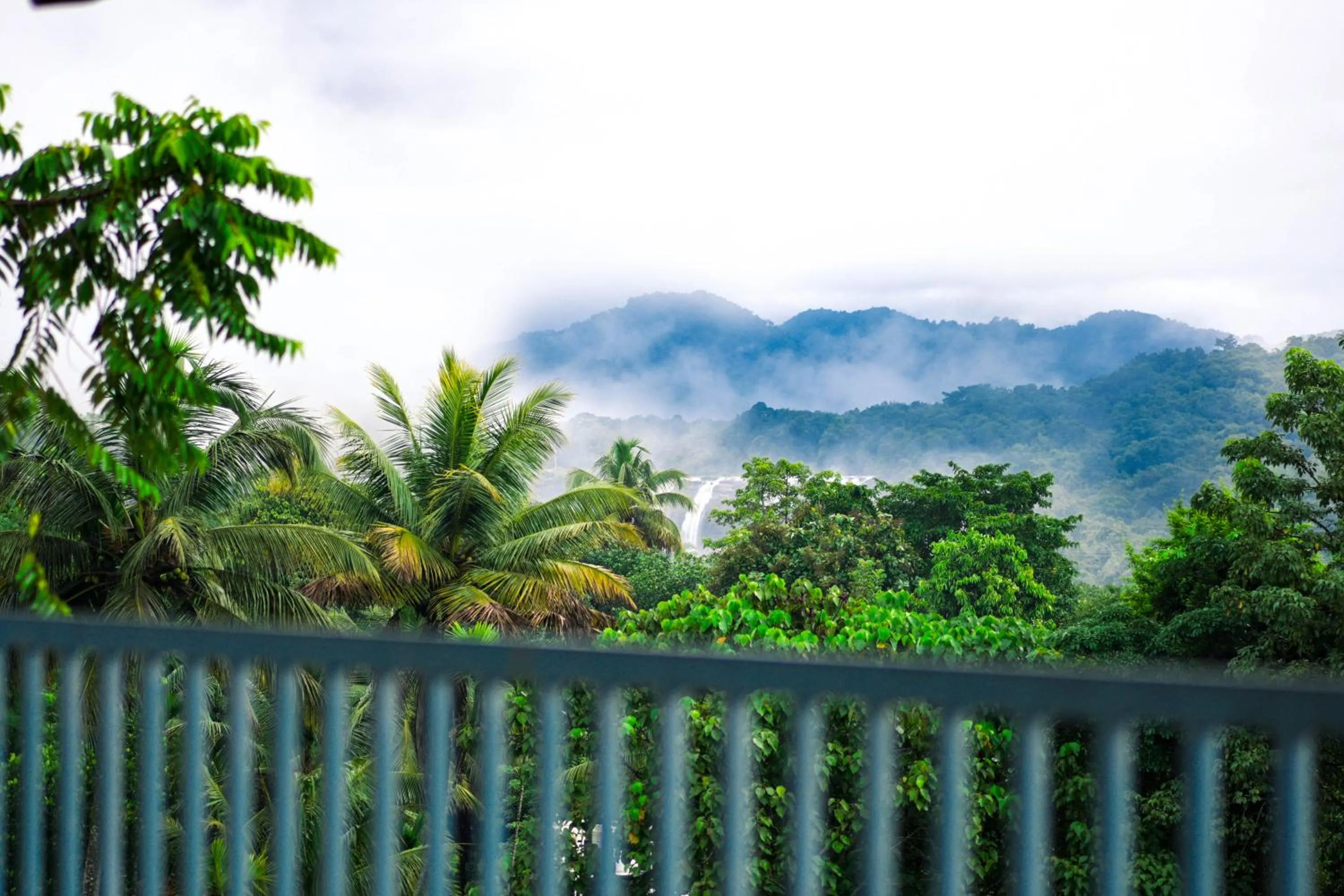 Natural landscape in Athirappilly Rainland Resort