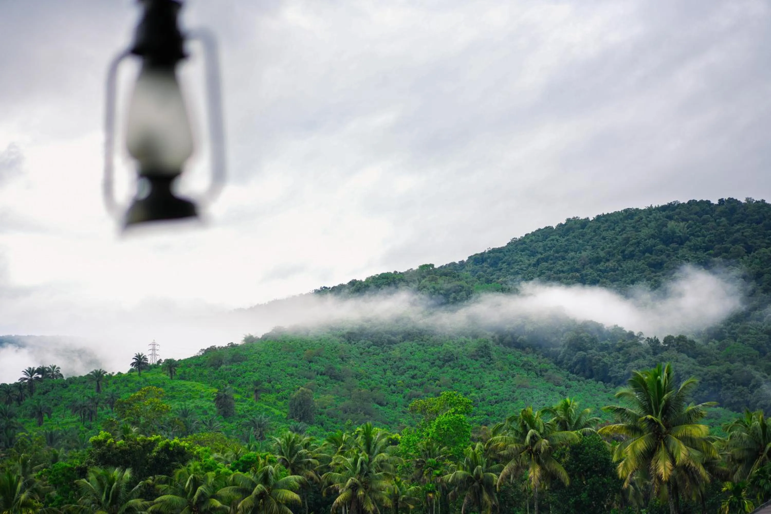 Natural landscape in Athirappilly Rainland Resort