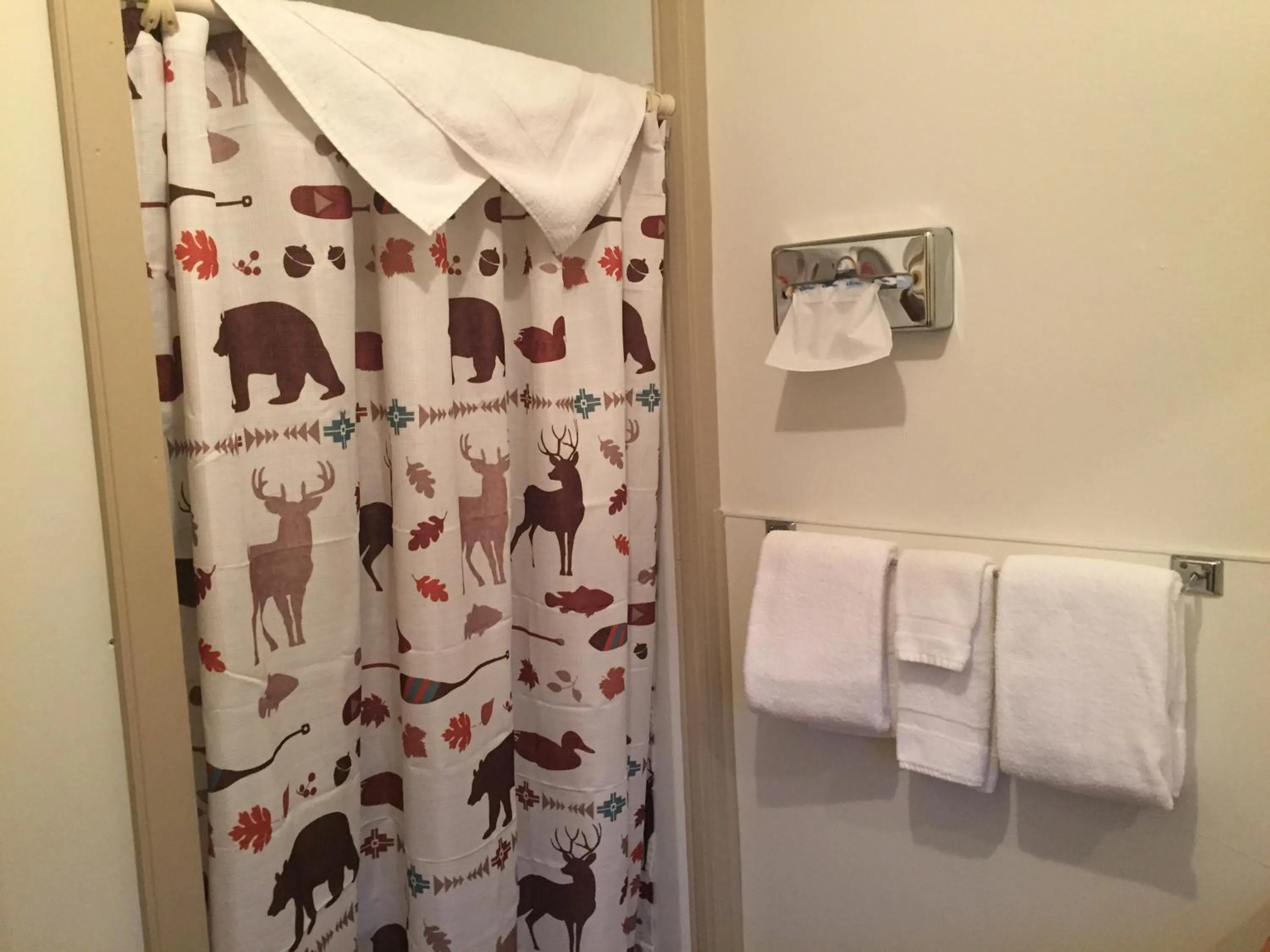 Bathroom in Mansion House Motel