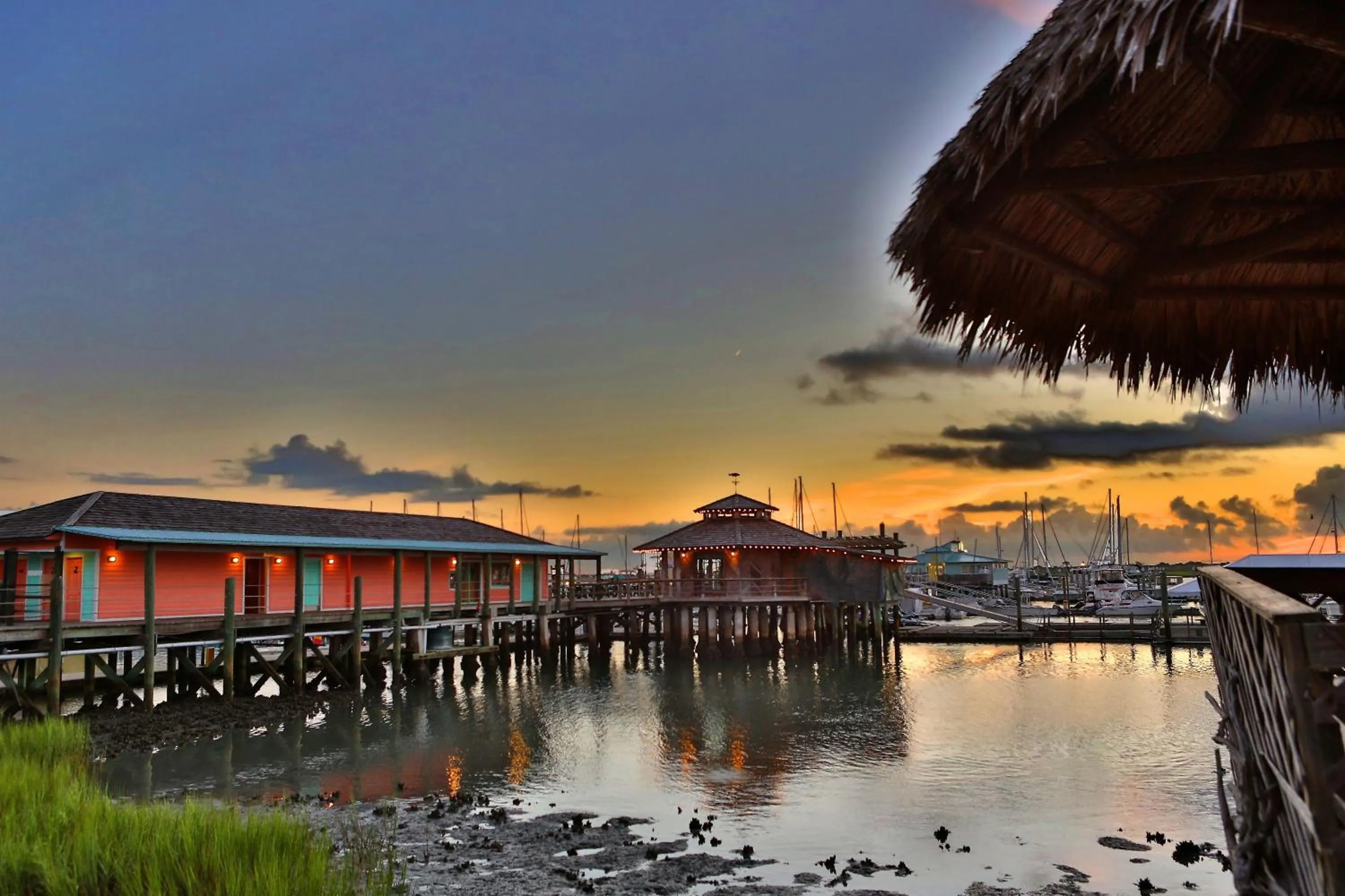 Restaurant/places to eat in The Conch House Marina Resort