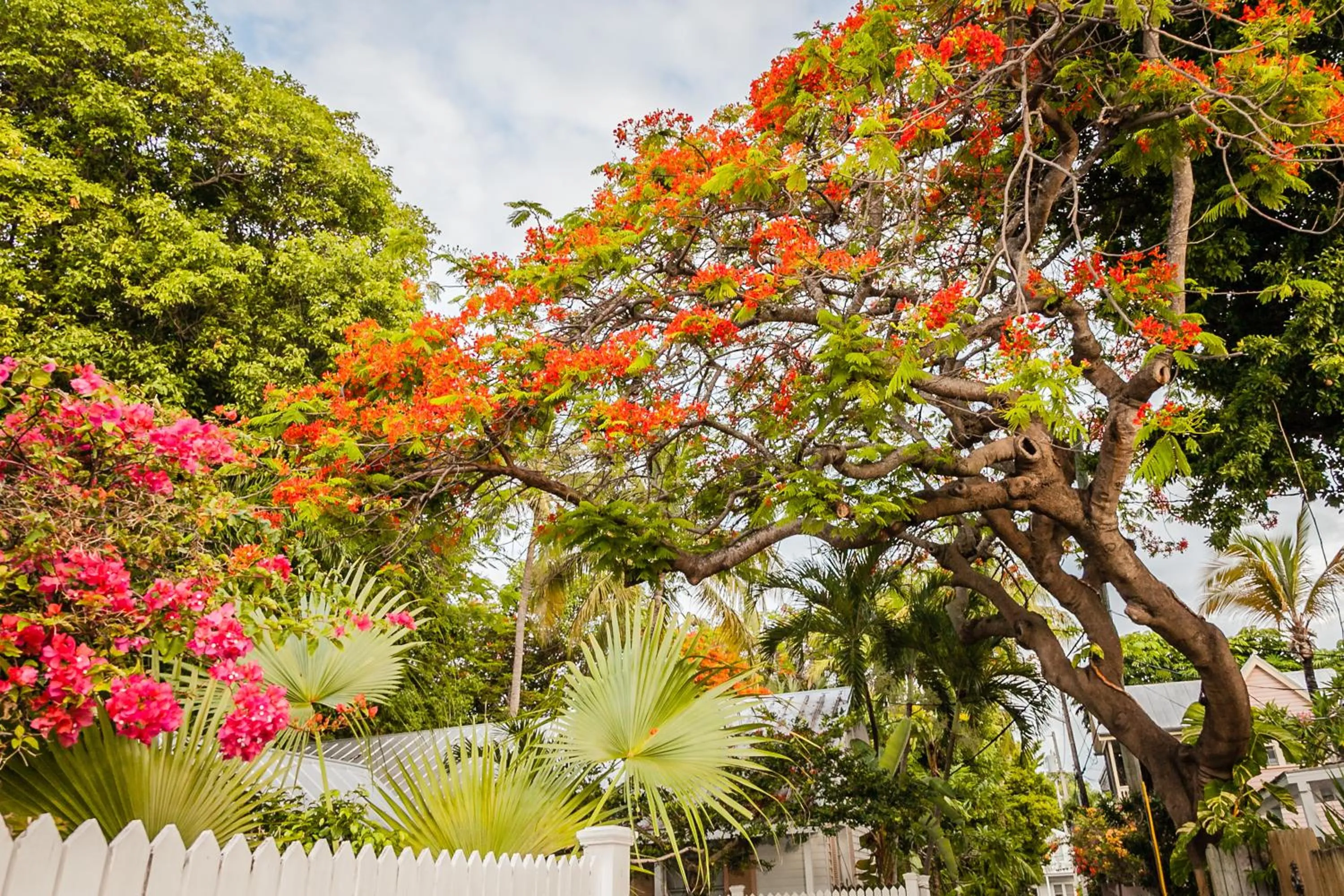 Area and facilities in Courtney's Place Historic Cottages & Inns