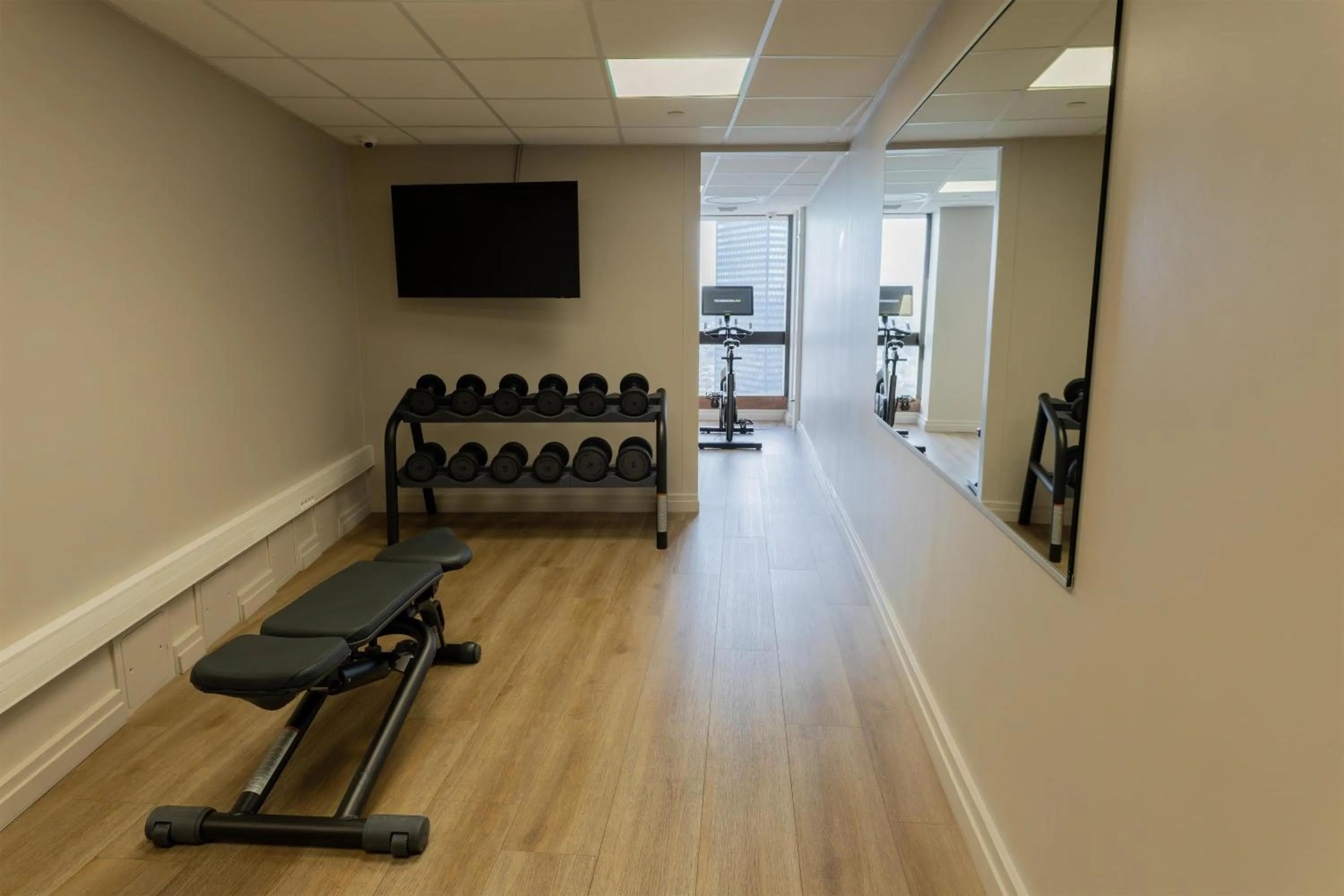 Fitness centre/facilities in Radisson Blu Hotel, Lyon