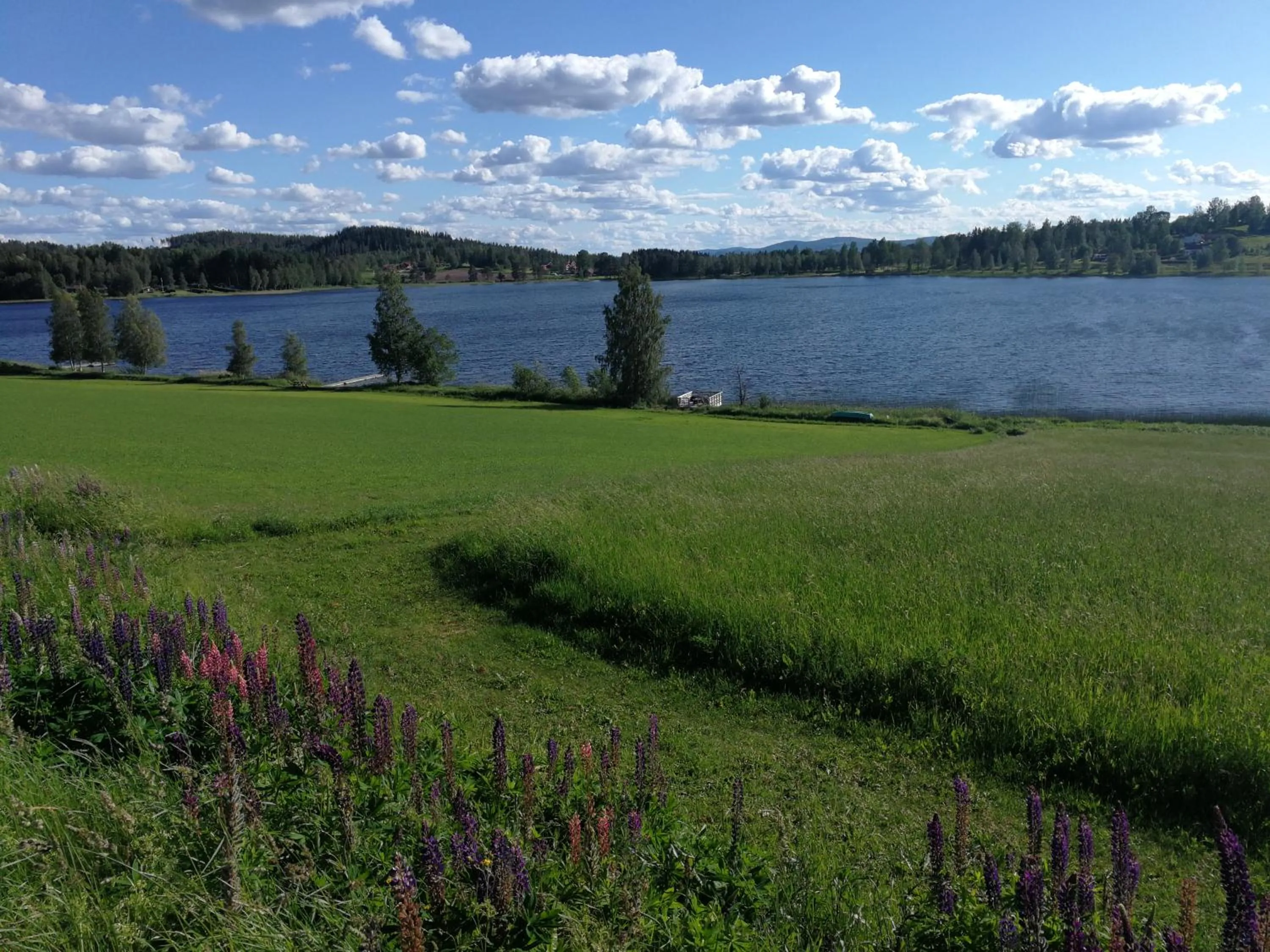 Natural landscape in Sjugare Gård Bed & Breakfast