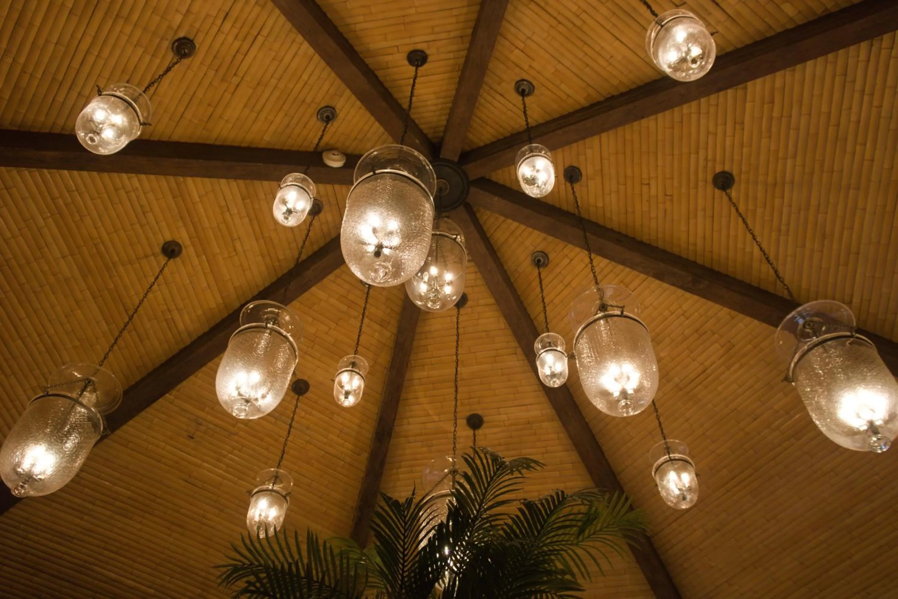 Evening entertainment in The Caribbean Court Boutique Hotel