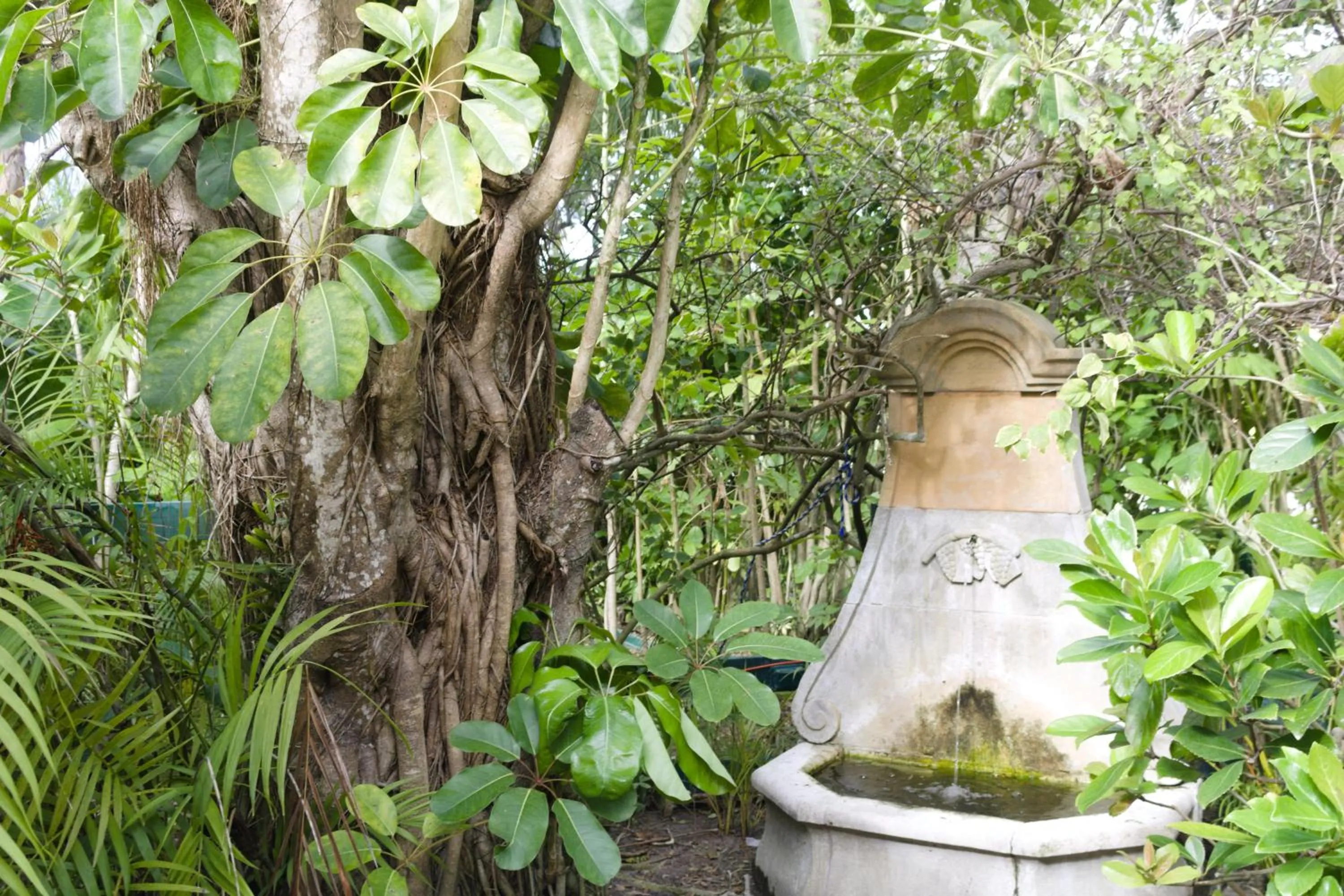 Day in The Caribbean Court Boutique Hotel