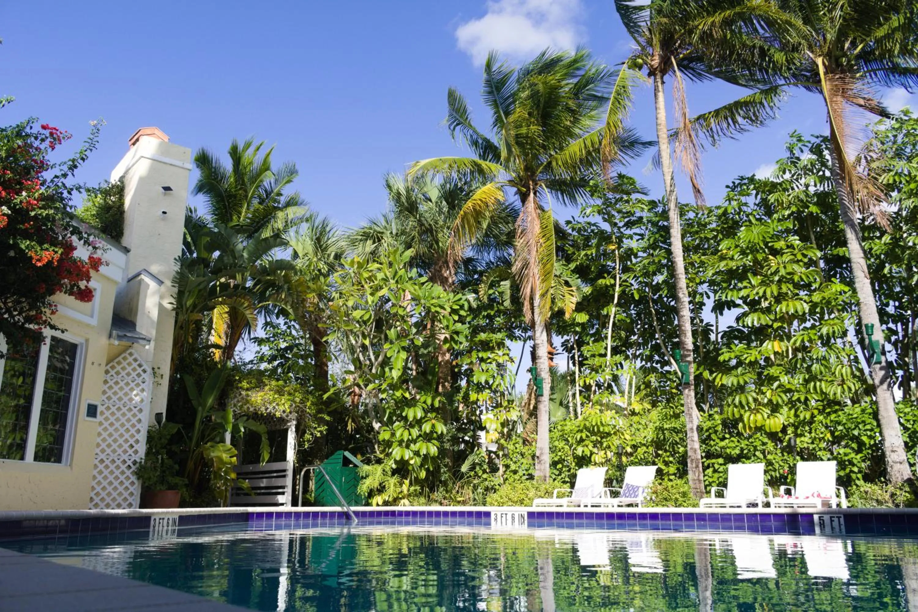 Pool view in The Caribbean Court Boutique Hotel