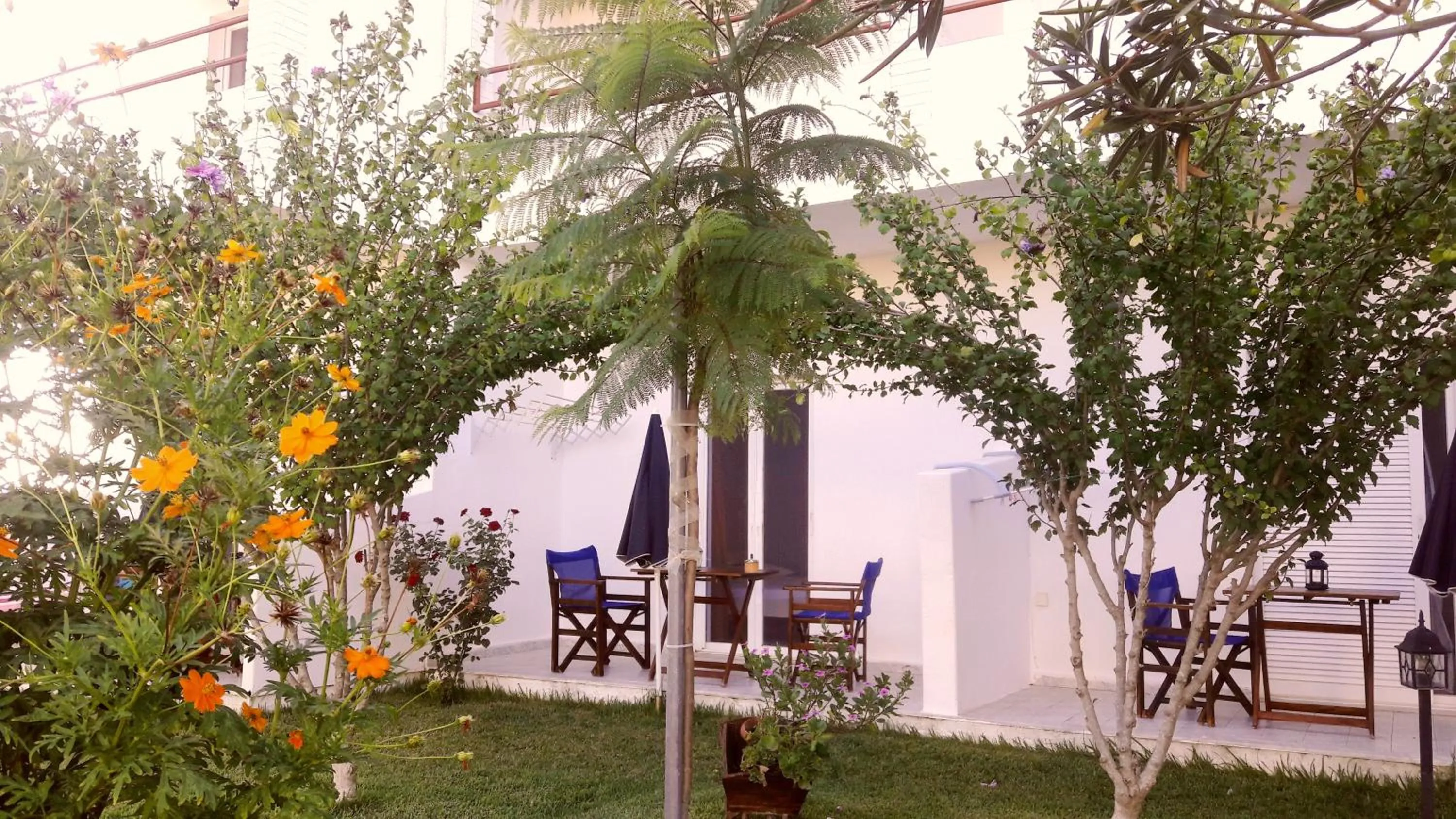 Garden in Voula Accommodation