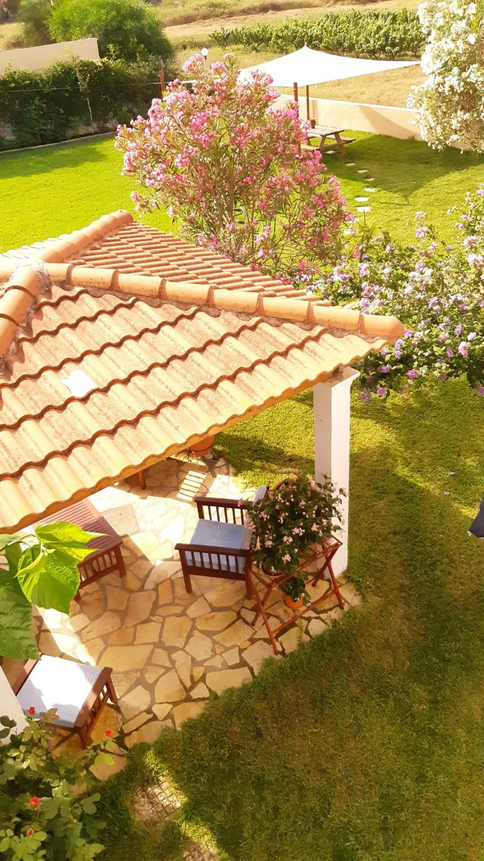 Patio in Voula Accommodation