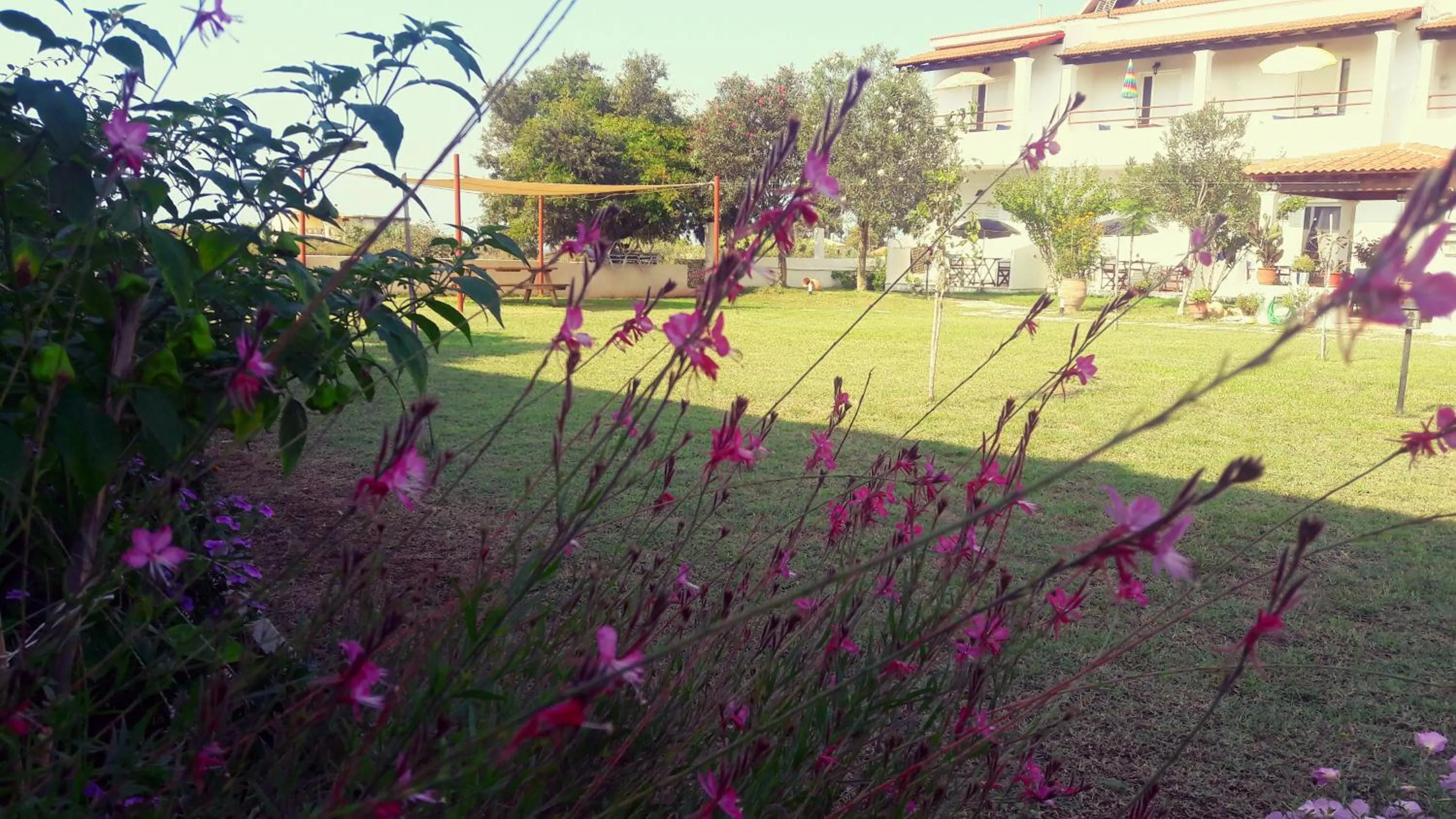 Facade/entrance in Voula Accommodation