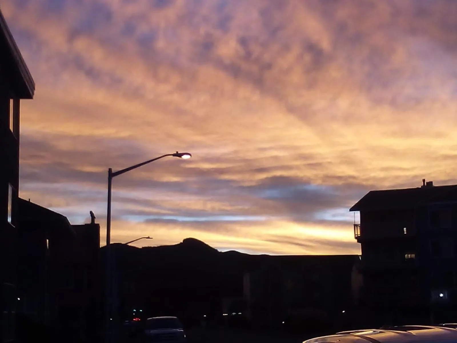 Natural landscape in Inn at the Shore