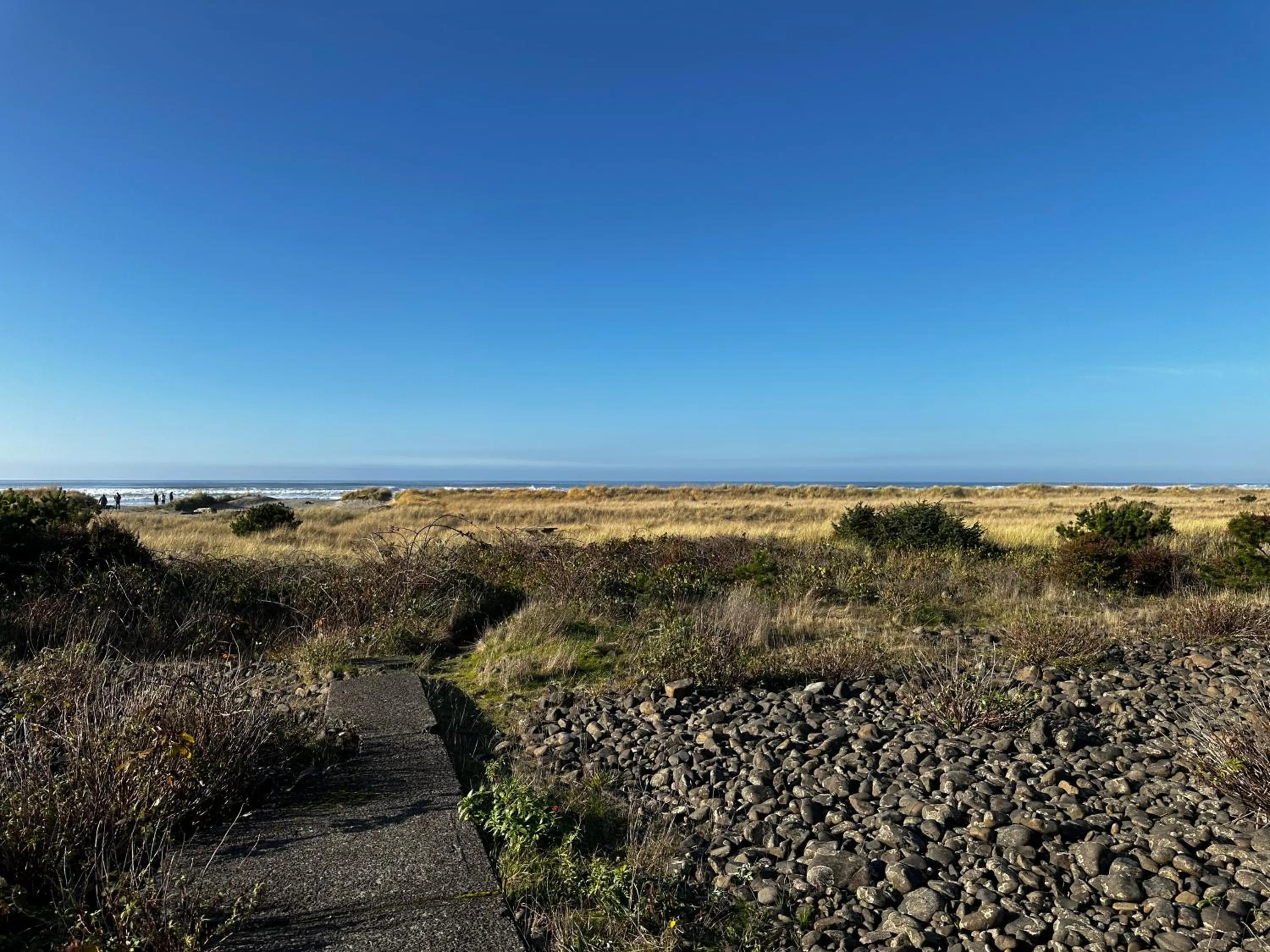 Natural landscape in Inn at the Shore