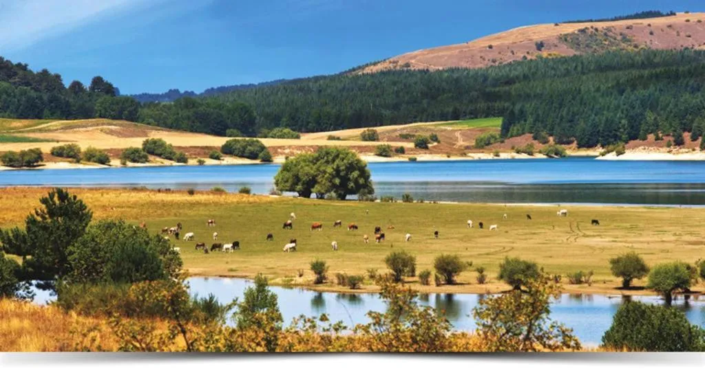 Natural landscape in B&B La Mia Valigia