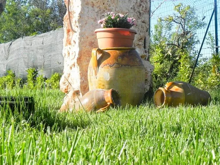 Garden in Resort Pietra Bianca