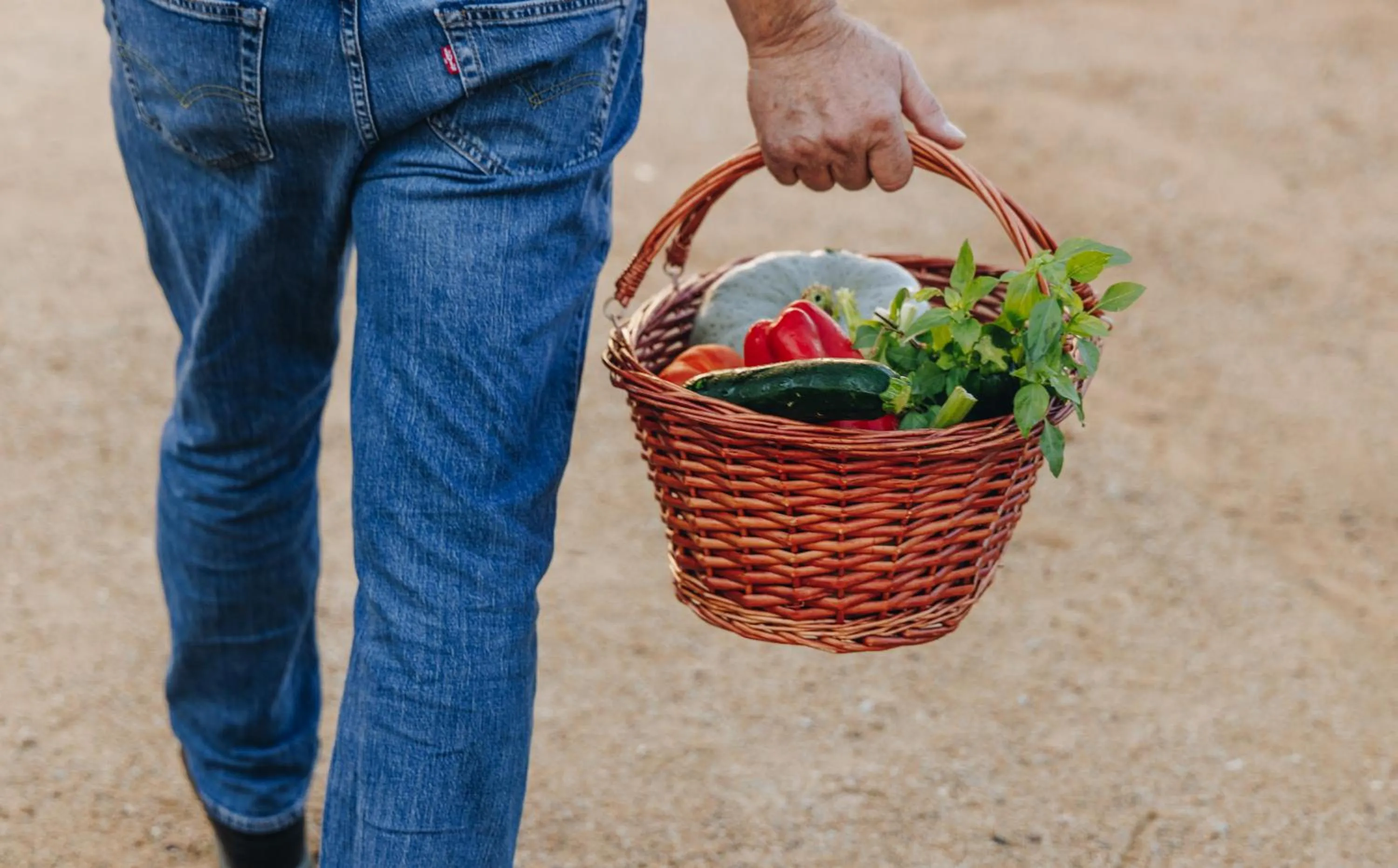 Garden in Hotel Corsica & Spa Serena