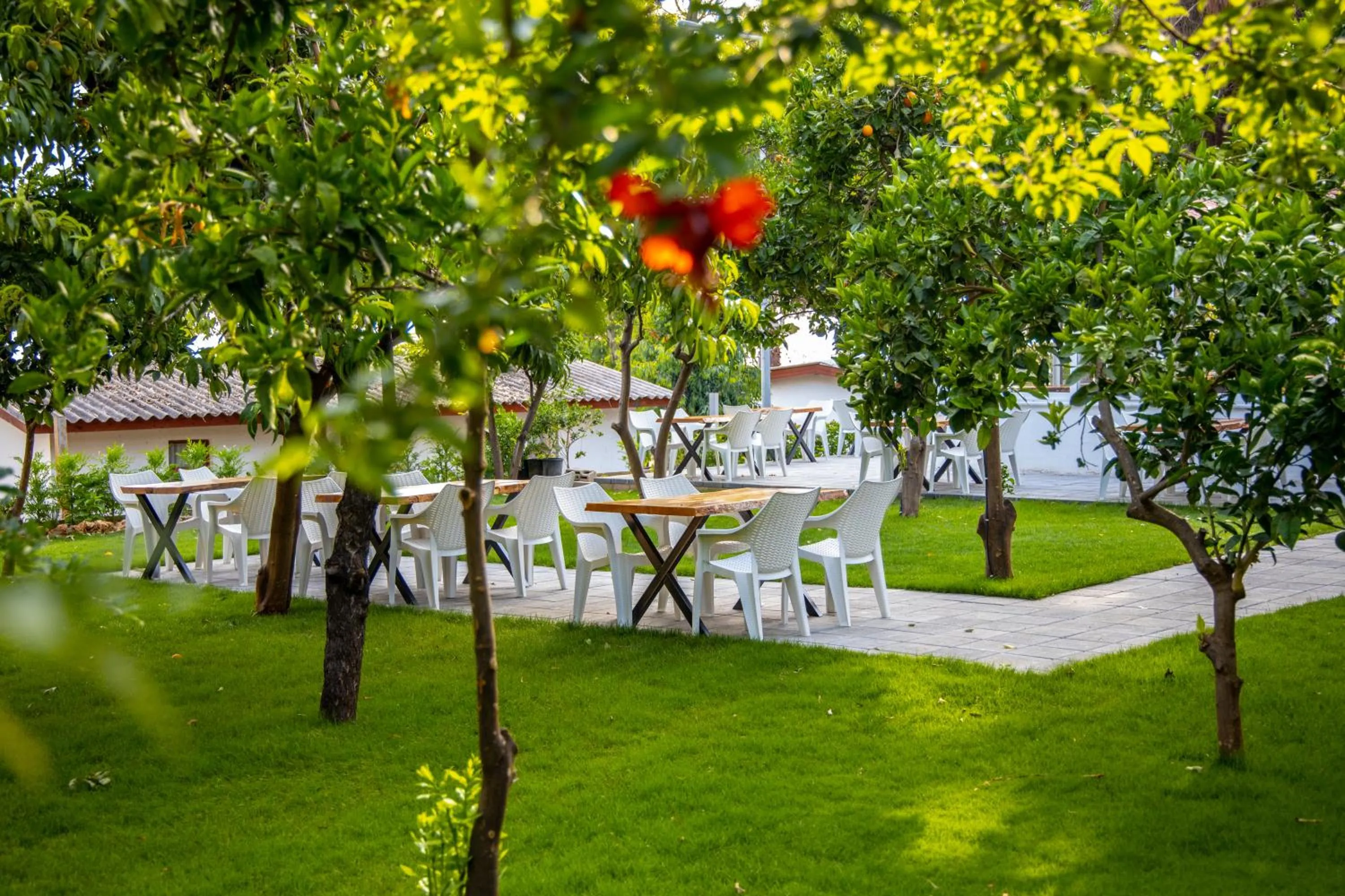 Restaurant/places to eat in Aroma Butik Hotel