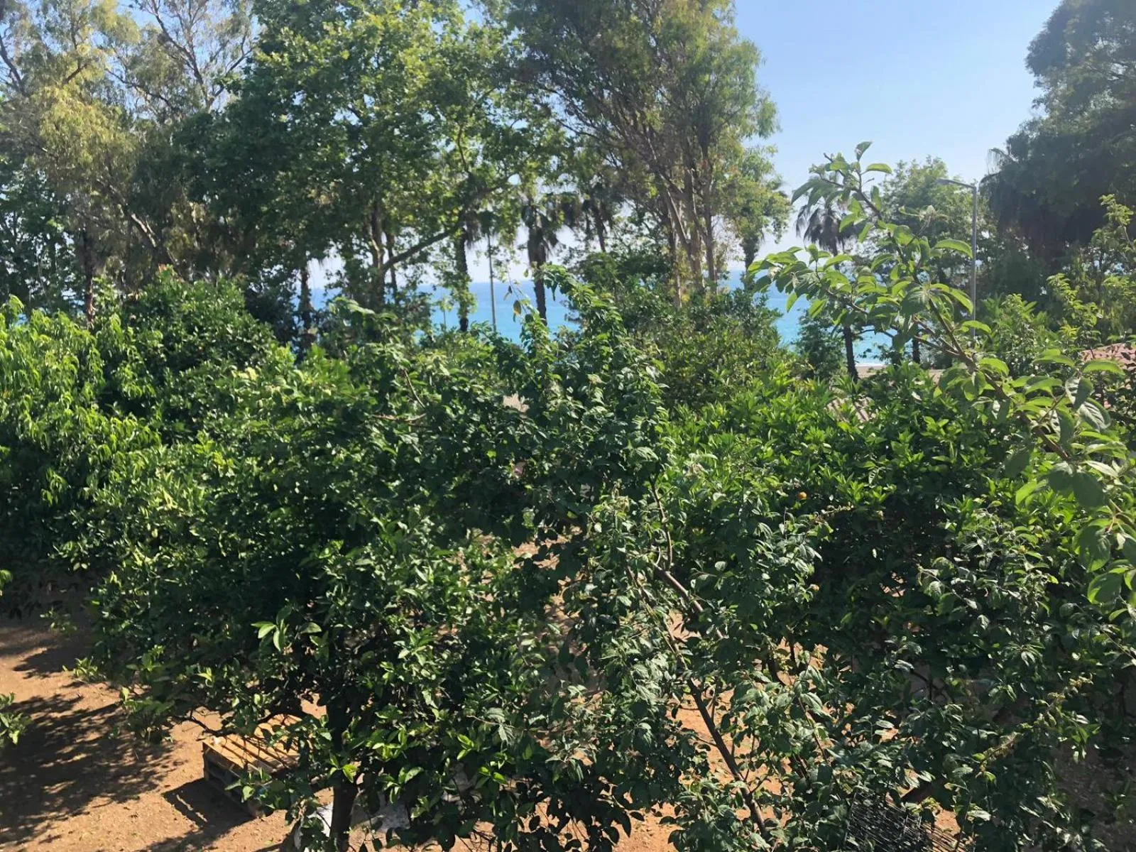 Natural landscape in Aroma Butik Hotel